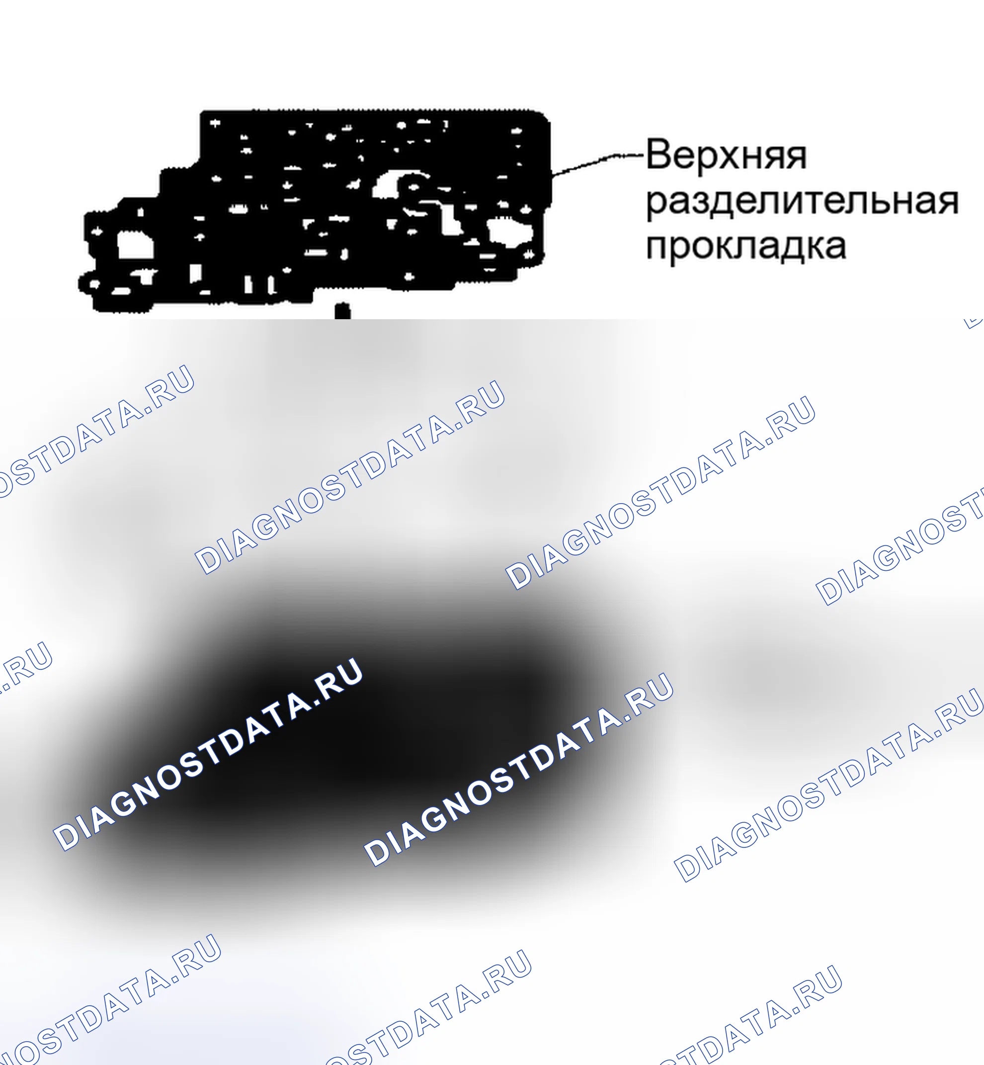 Рис. 644. Nissan Altima L31 рестайлинг