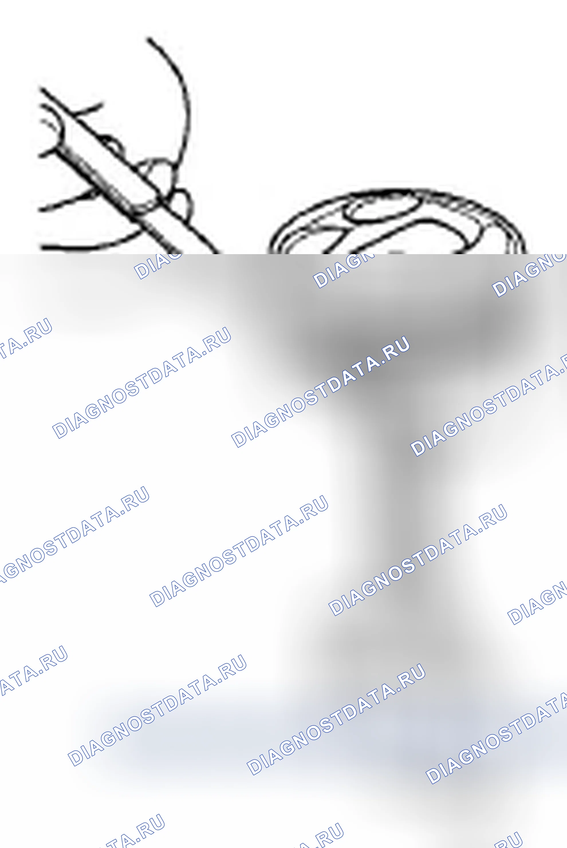 Рис. 641. Honda Crosstour I