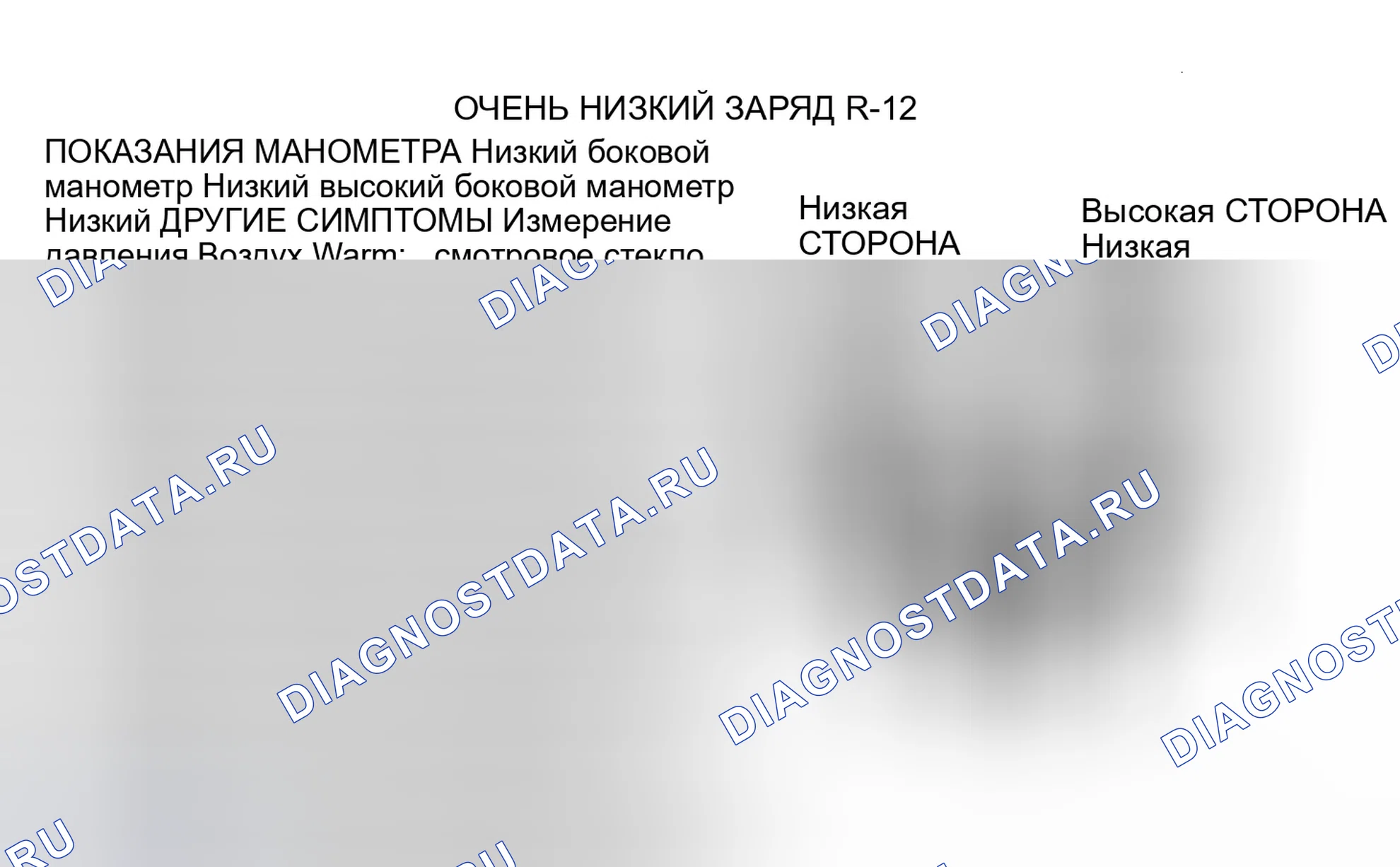 Рис. 11. Dodge Dakota WS 