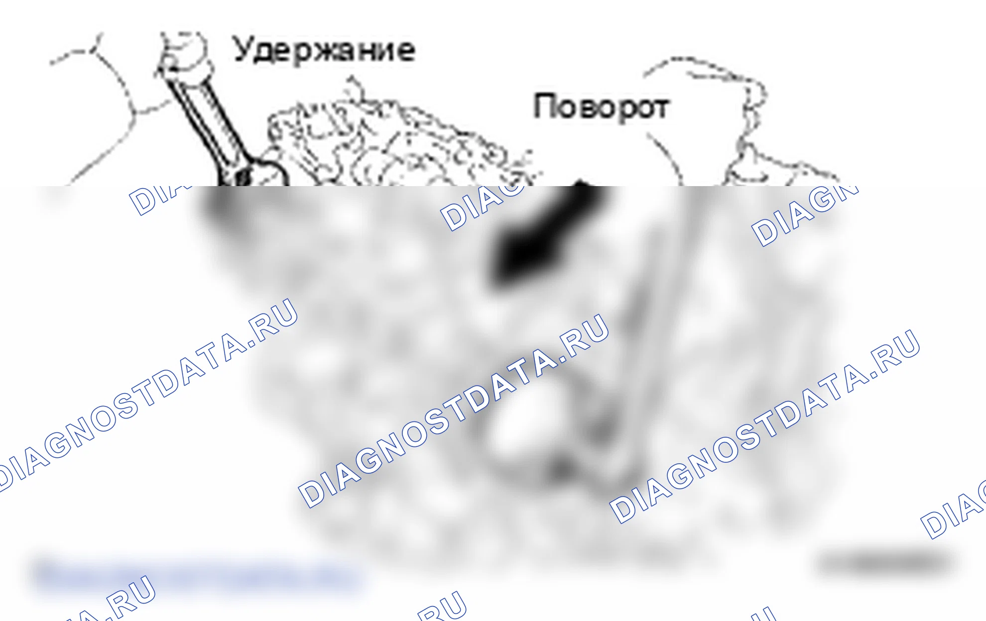 Рис. 470. Lexus LS IV