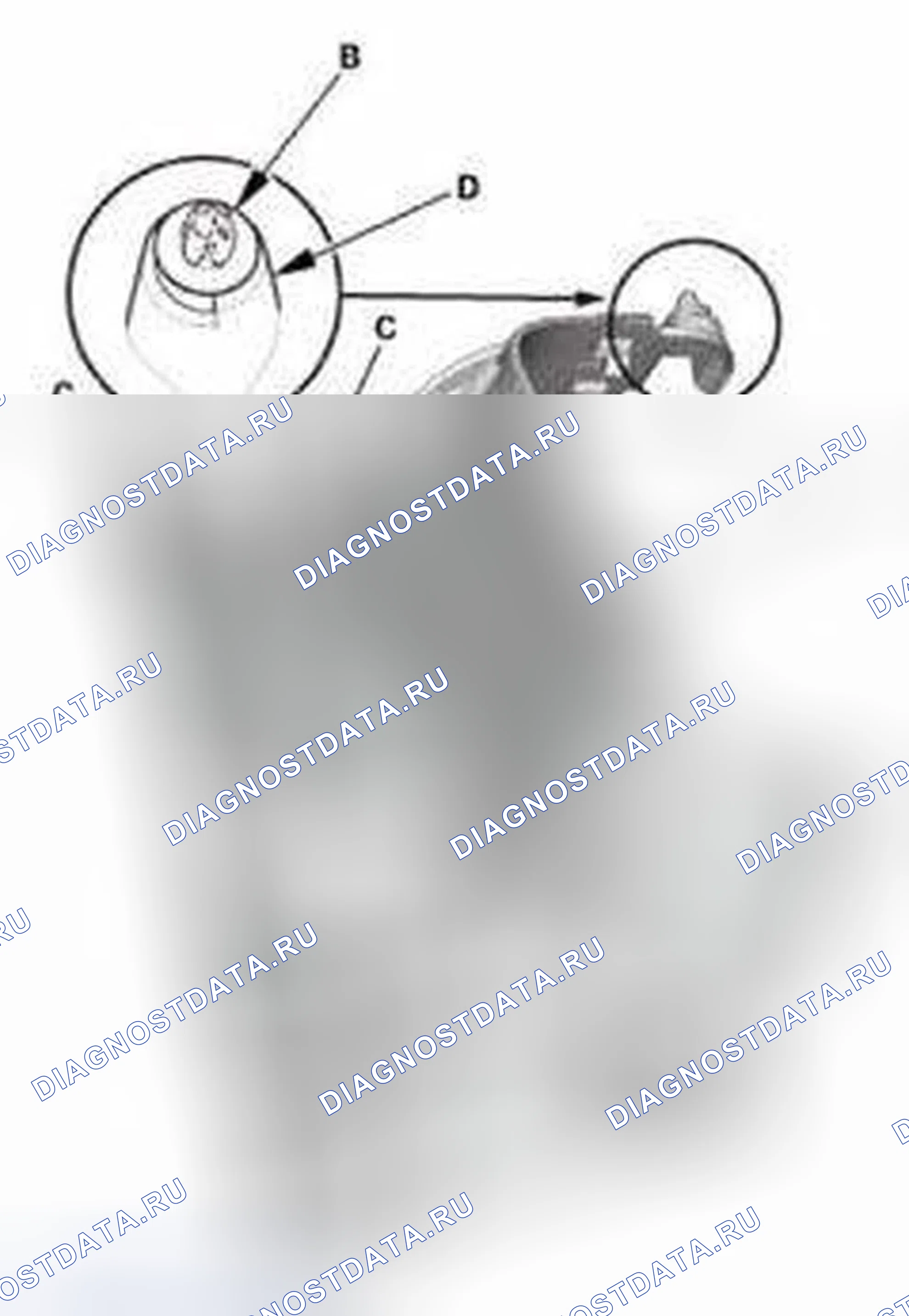 Рис. 793. Honda Civic IX