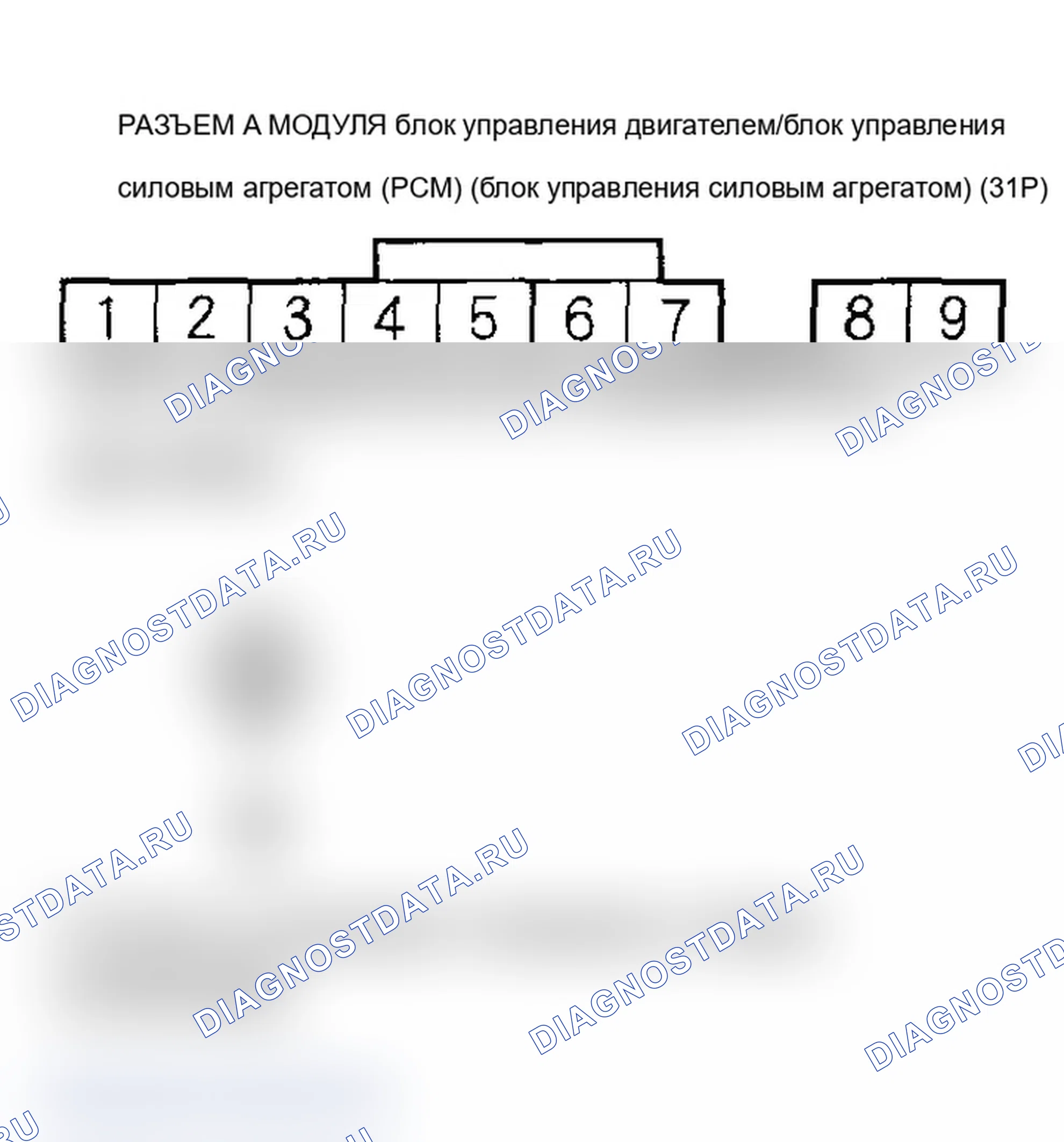 Рис. 383. Acura RSX I рестайлинг