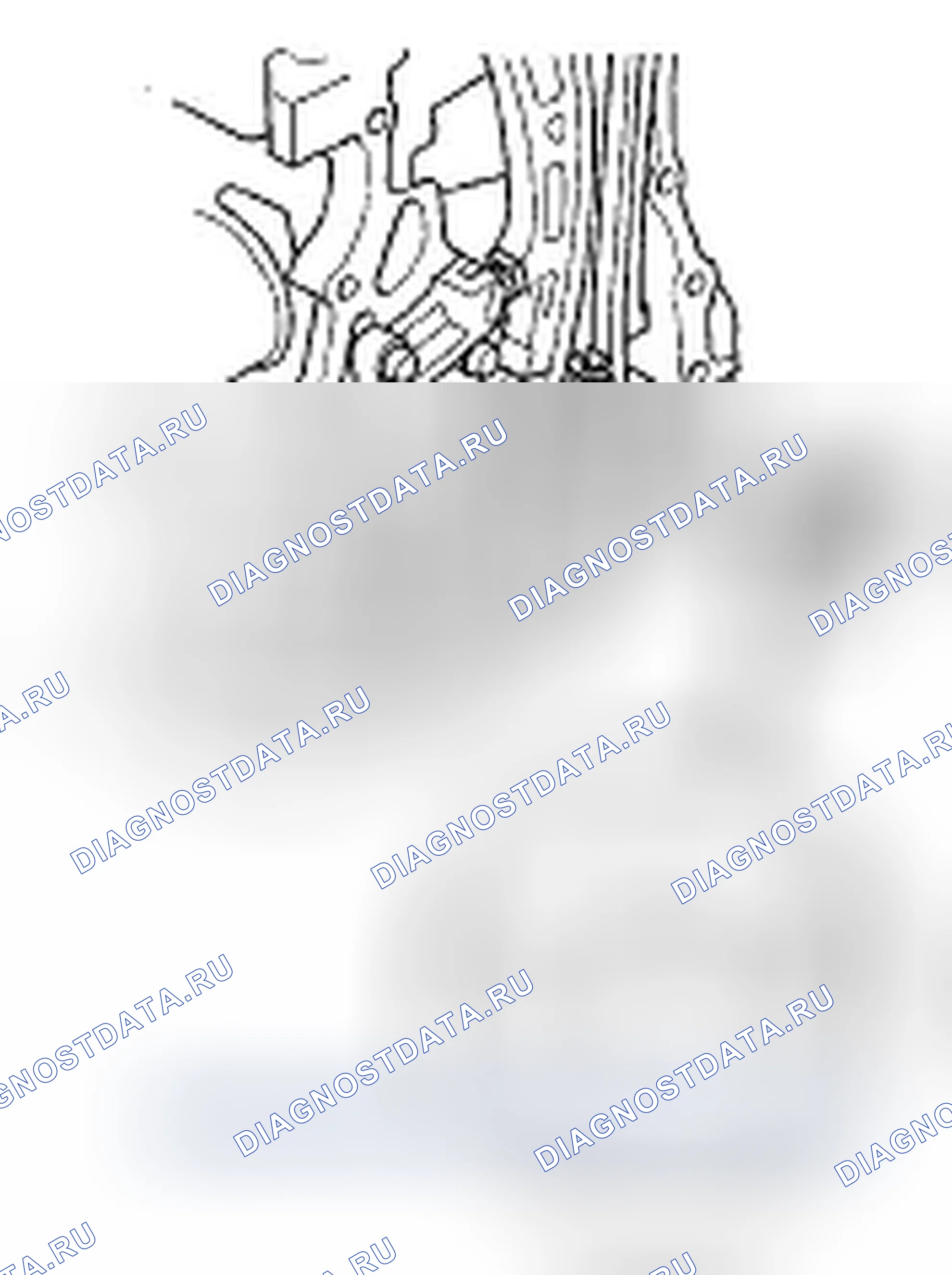 Рис. 55. Honda Element YH2 рестайлинг