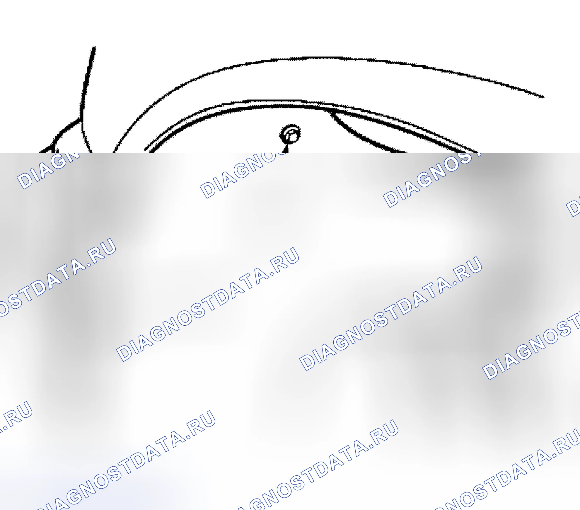 Рис. 29. BMW Z3 E36