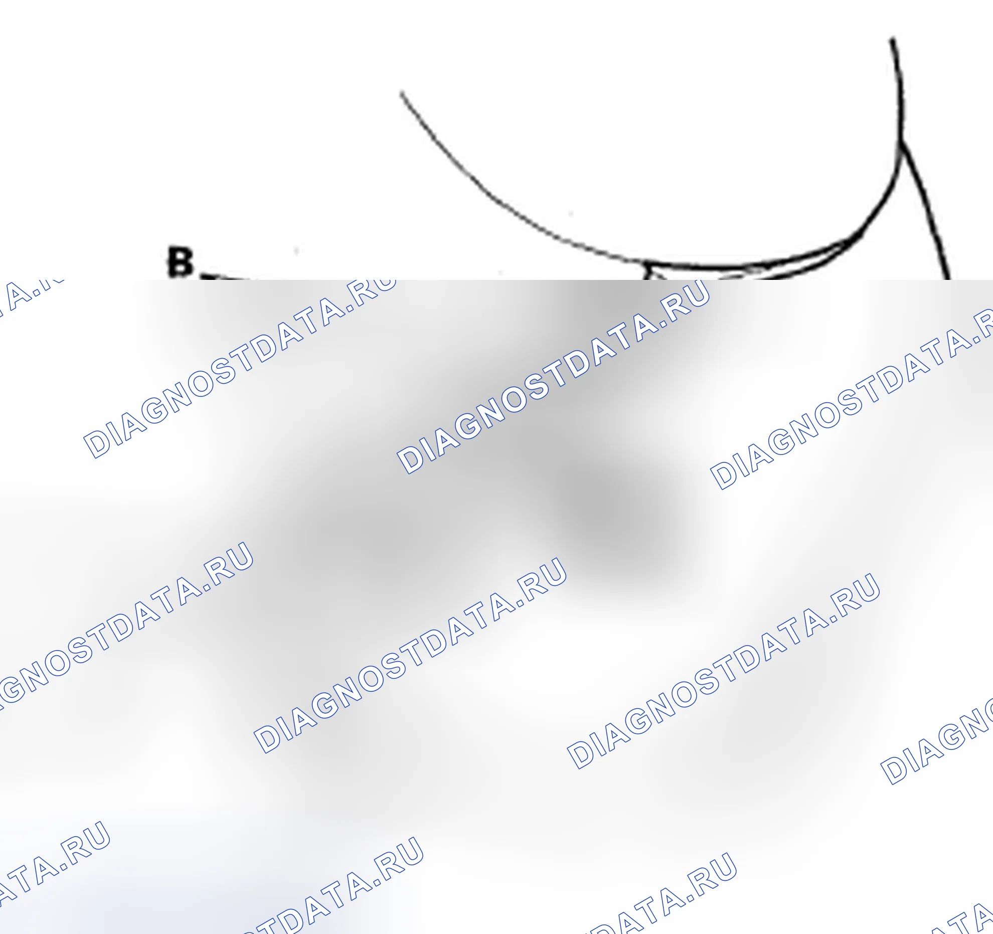 Рис. 5. Honda Fit I