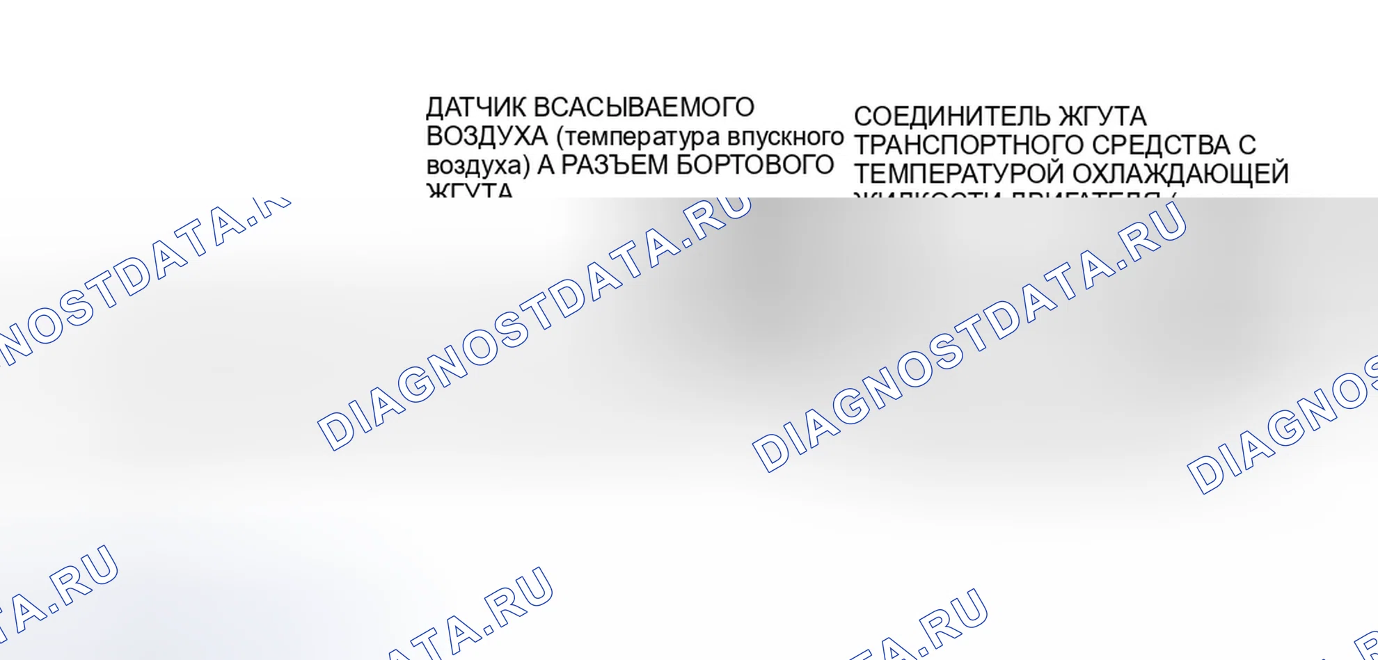 Рис. 10: Идентификация цепей температурных датчиков и разъемов. Ford Escort V рестайлинг 2