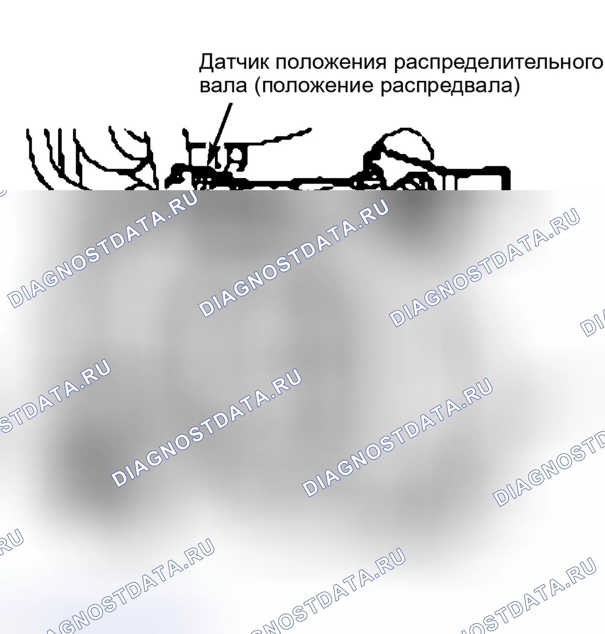 Рис. 42: Датчик положения распределительного вала (положение распредвала). Land Rover Discovery L318