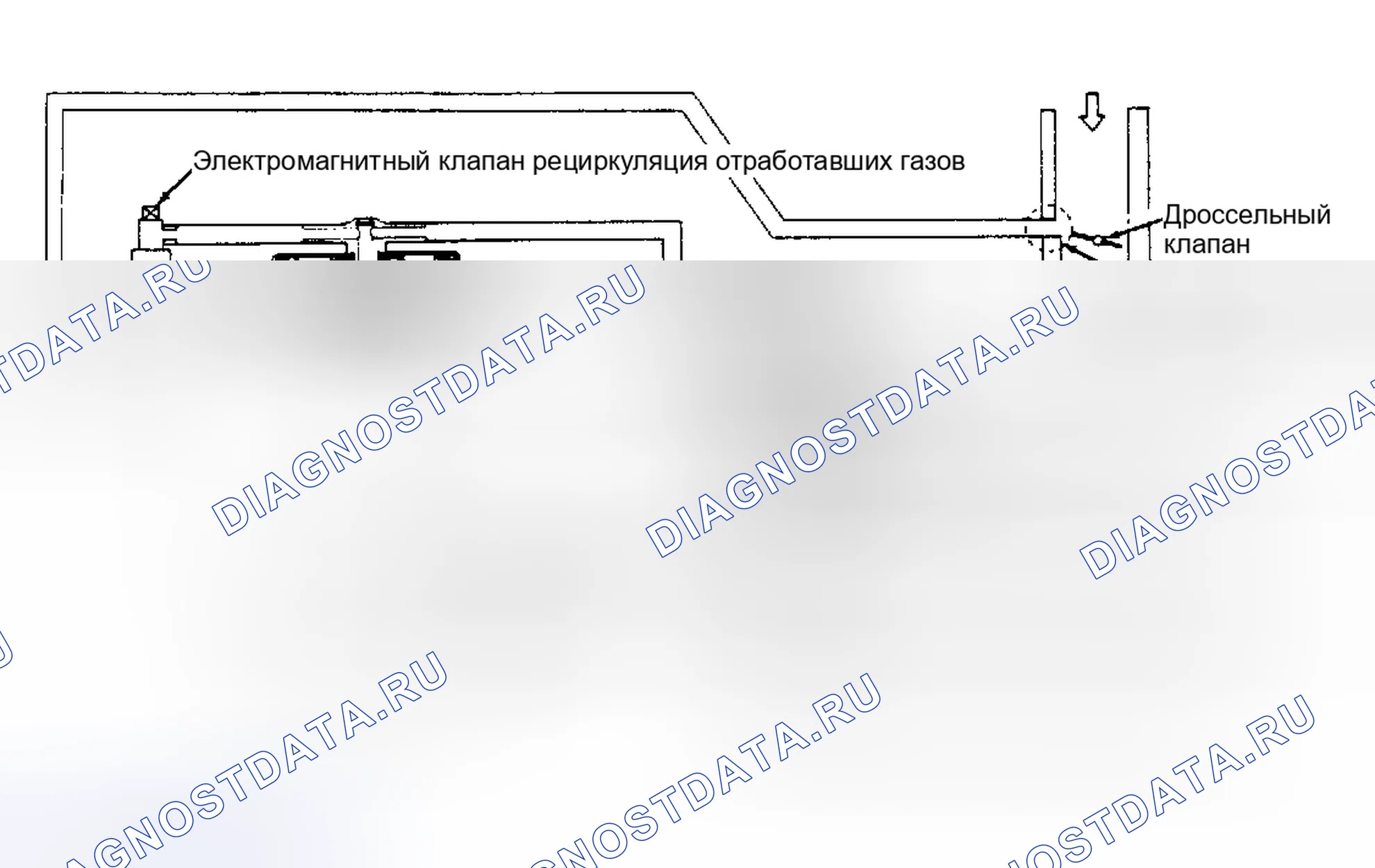 Рис. 13: СИСТЕМА РЕЦИРКУЛЯЦИИ ВЫХЛОПНЫХ ГАЗОВ. Nissan Pulsar N13