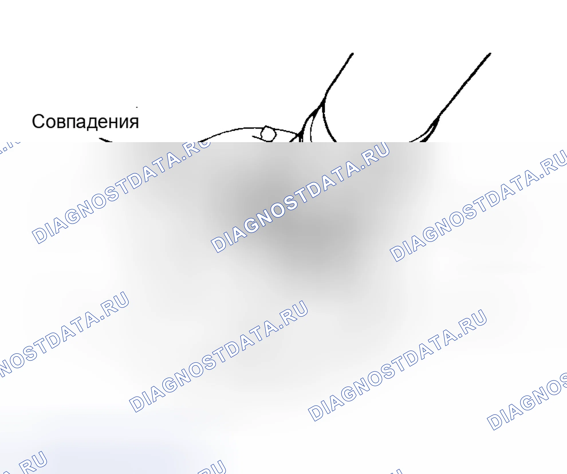 Рис. 33. Toyota Corolla VI