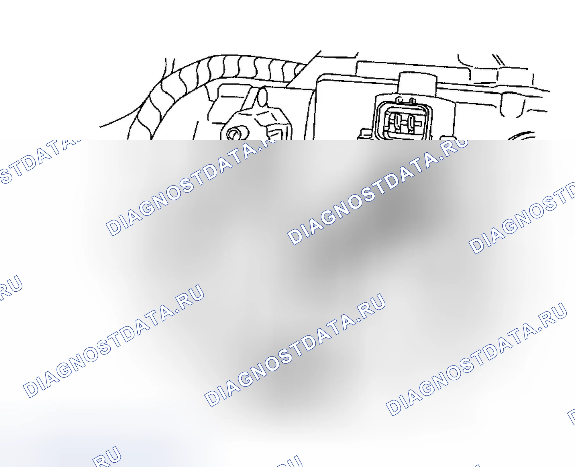 Рис. 1450. Ford Focus I рестайлинг