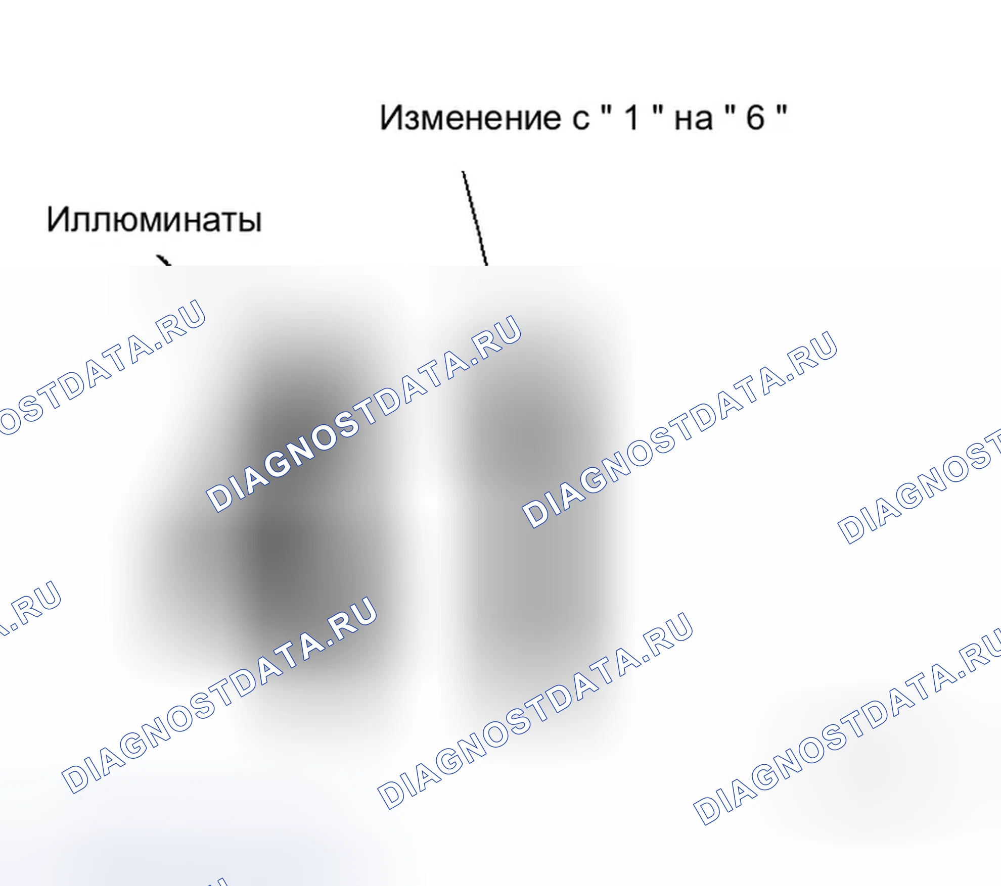 Рис. 11. Infiniti M45 III