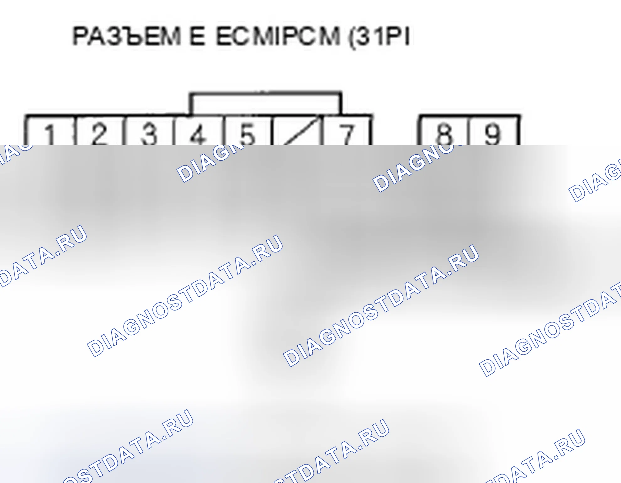 Рис. 7. Honda Element YH2 рестайлинг 2