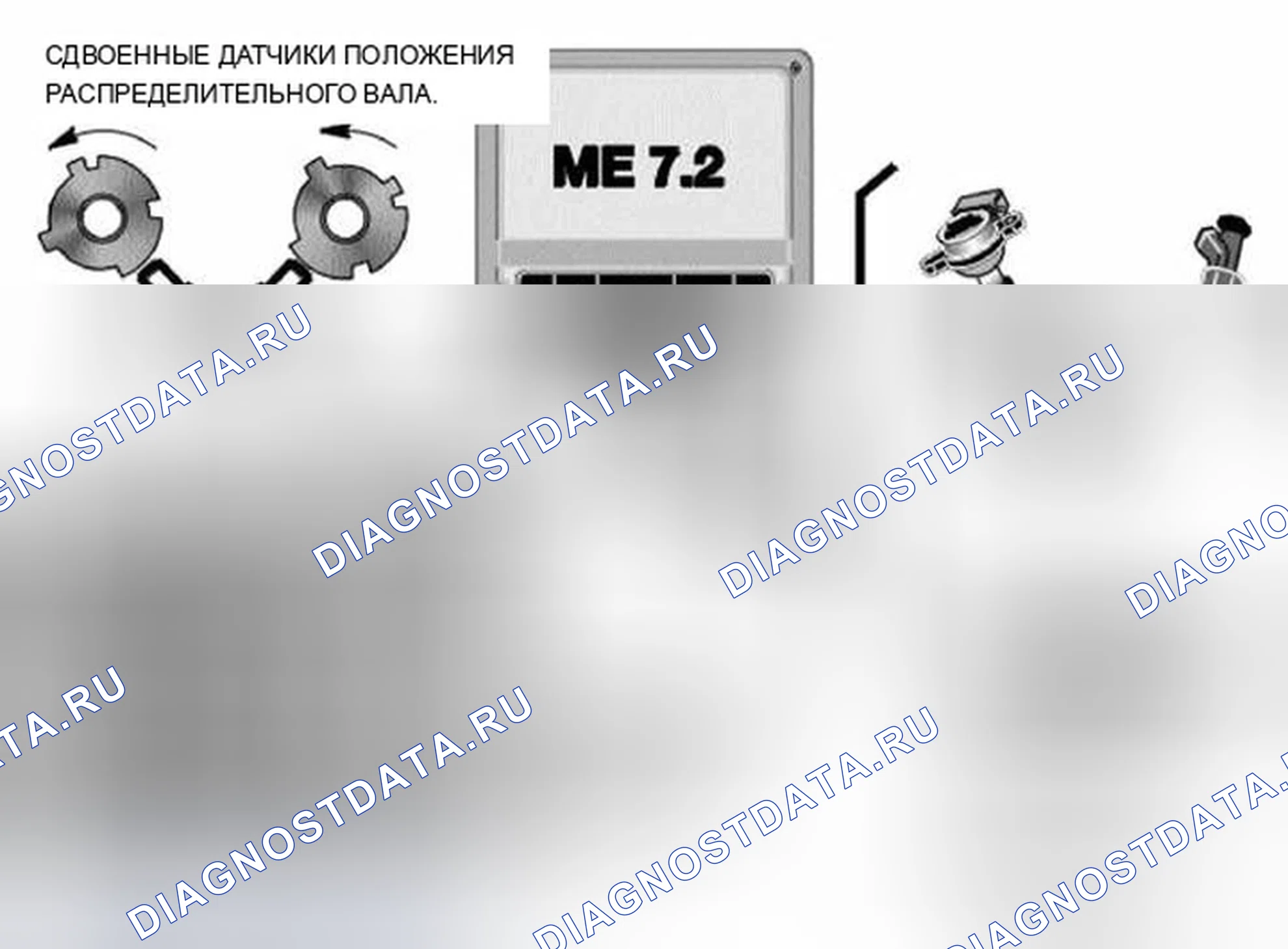 Рис. 1347. BMW X5 E53 рестайлинг