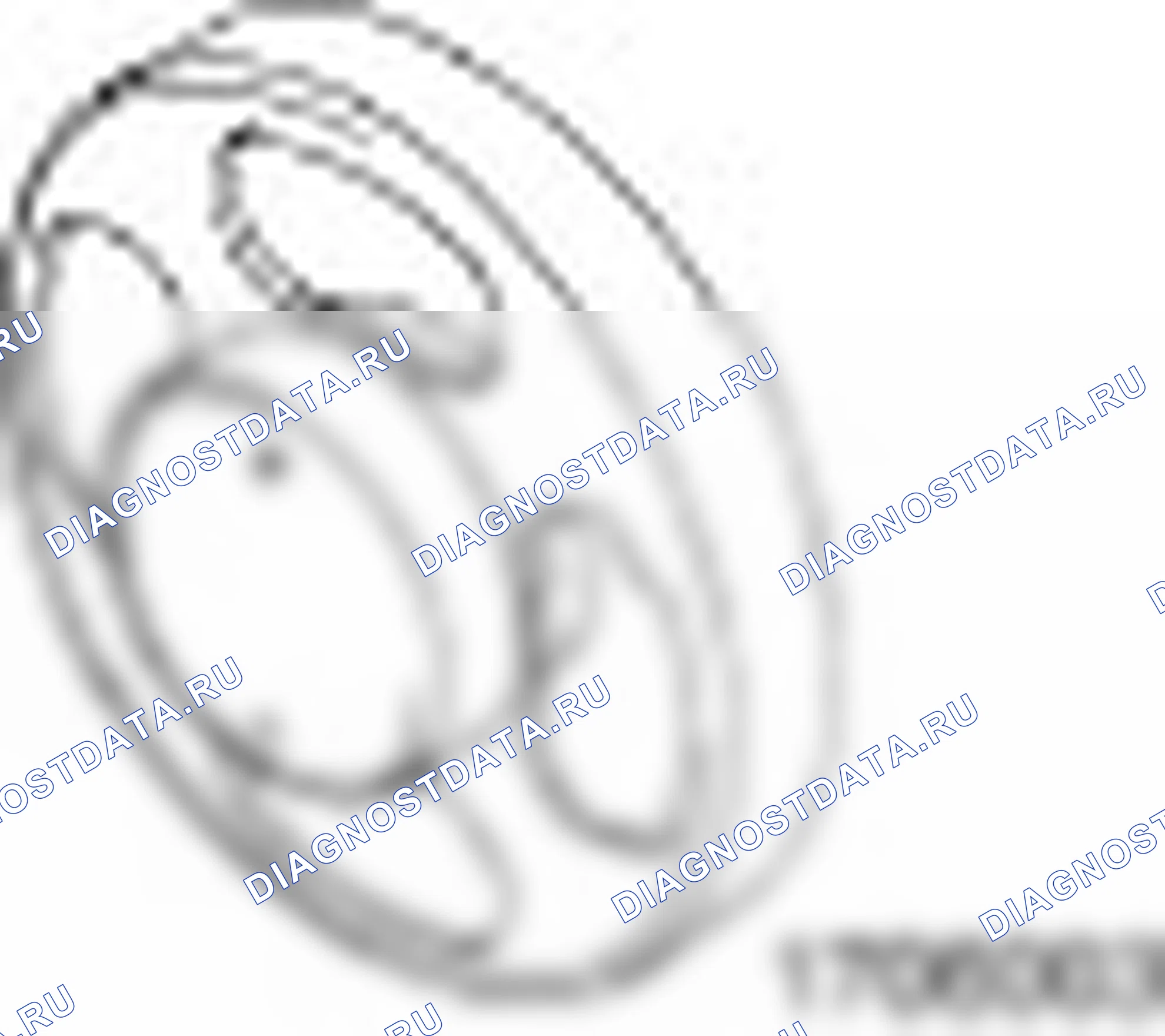 307-282 (17-060-03). Ford Mondeo II
