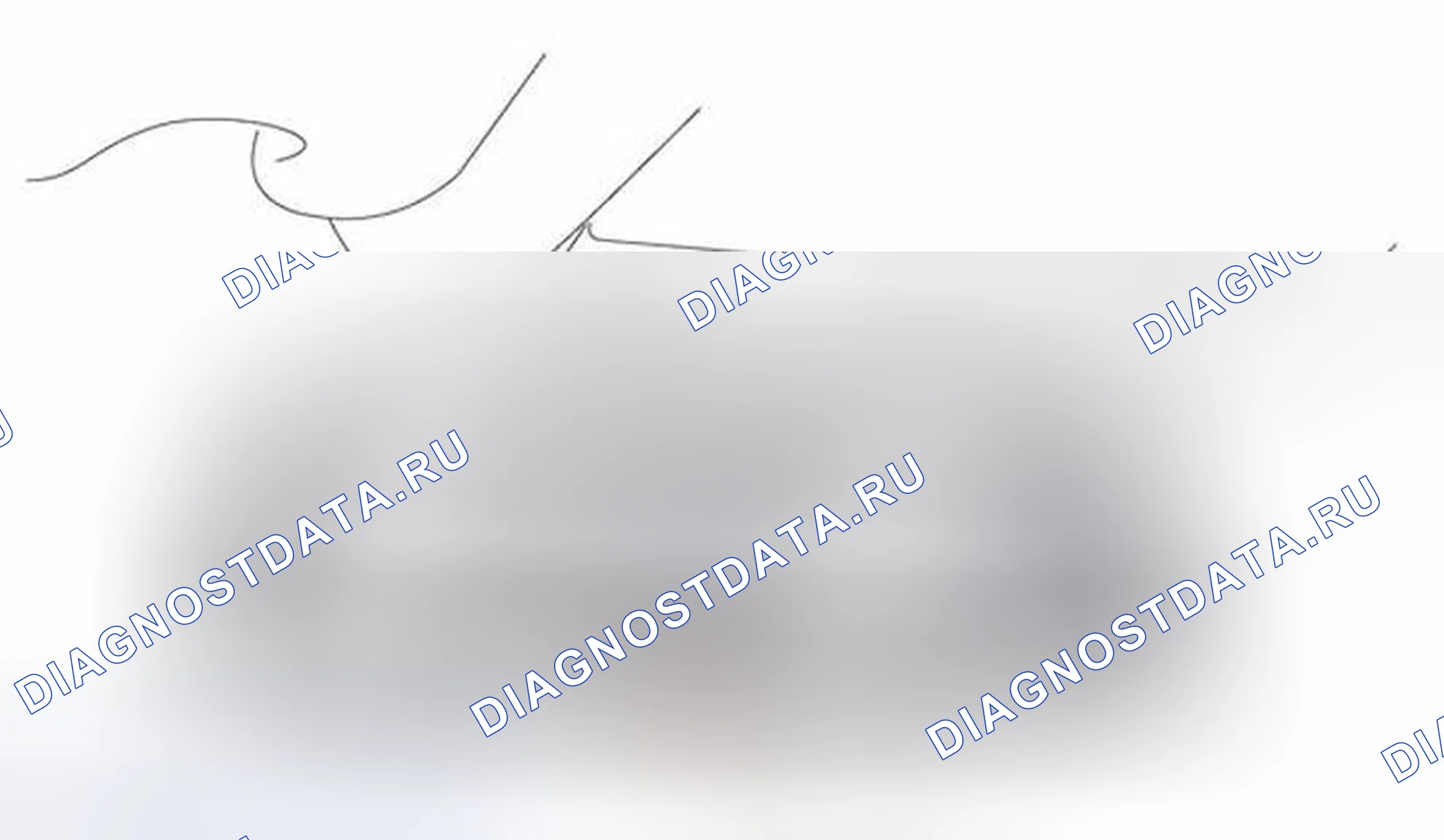 Рис. 377: Система защиты от краж (DWA). BMW X5 E53