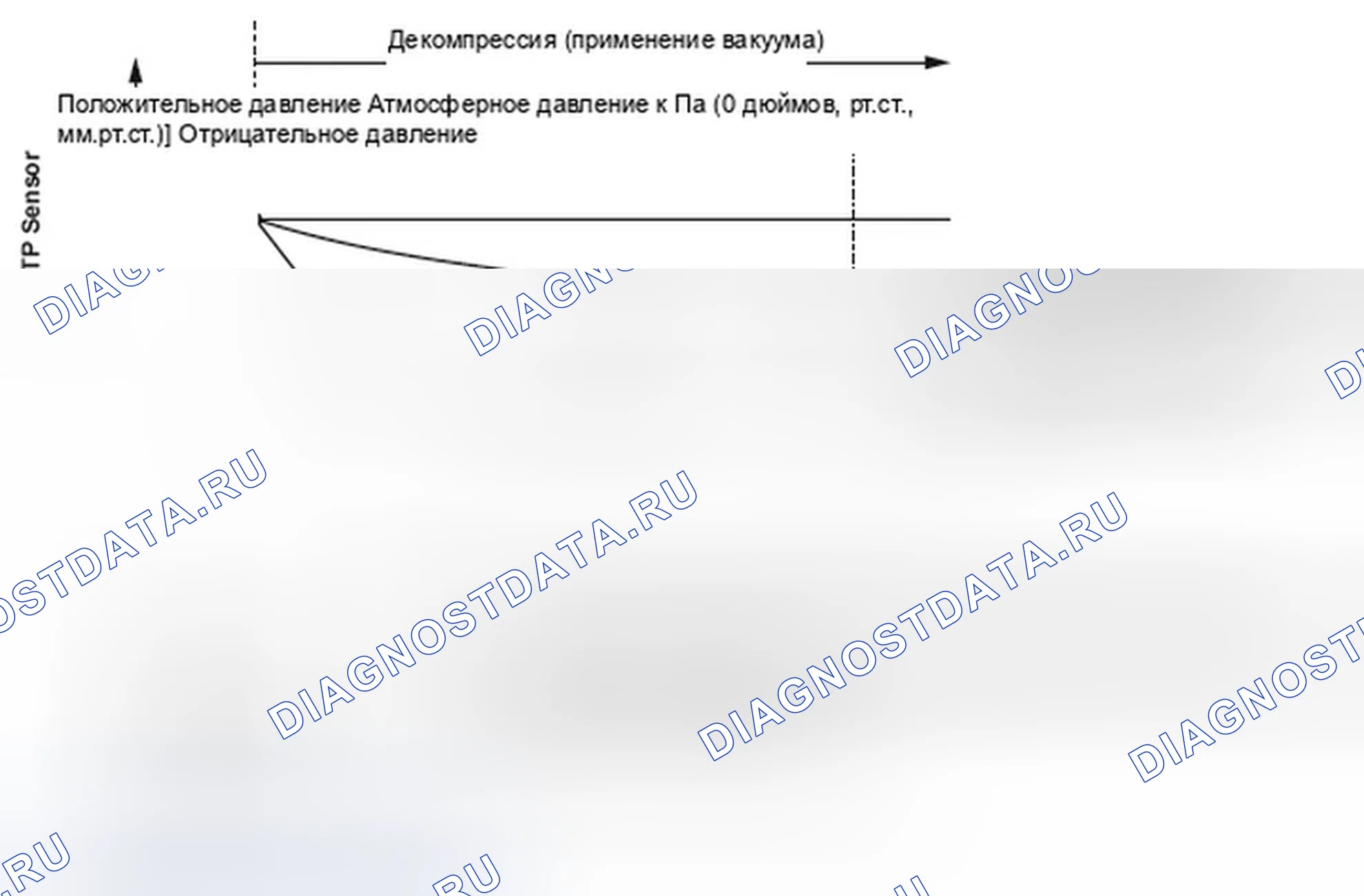 Рис. 306: График плотности паров топлива и вакуума при испарении. Honda Element I