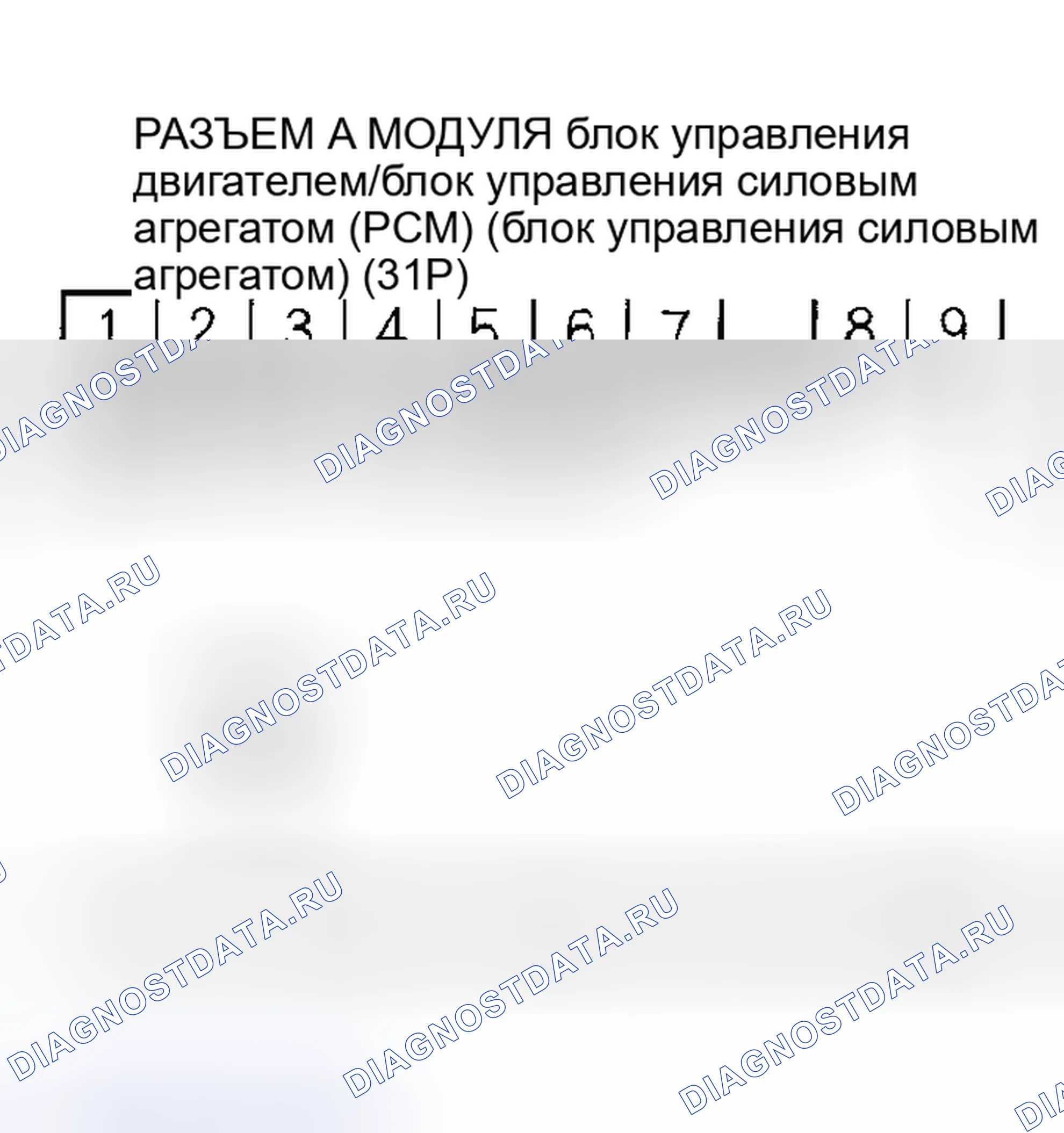 Рис. 389. Acura RSX I