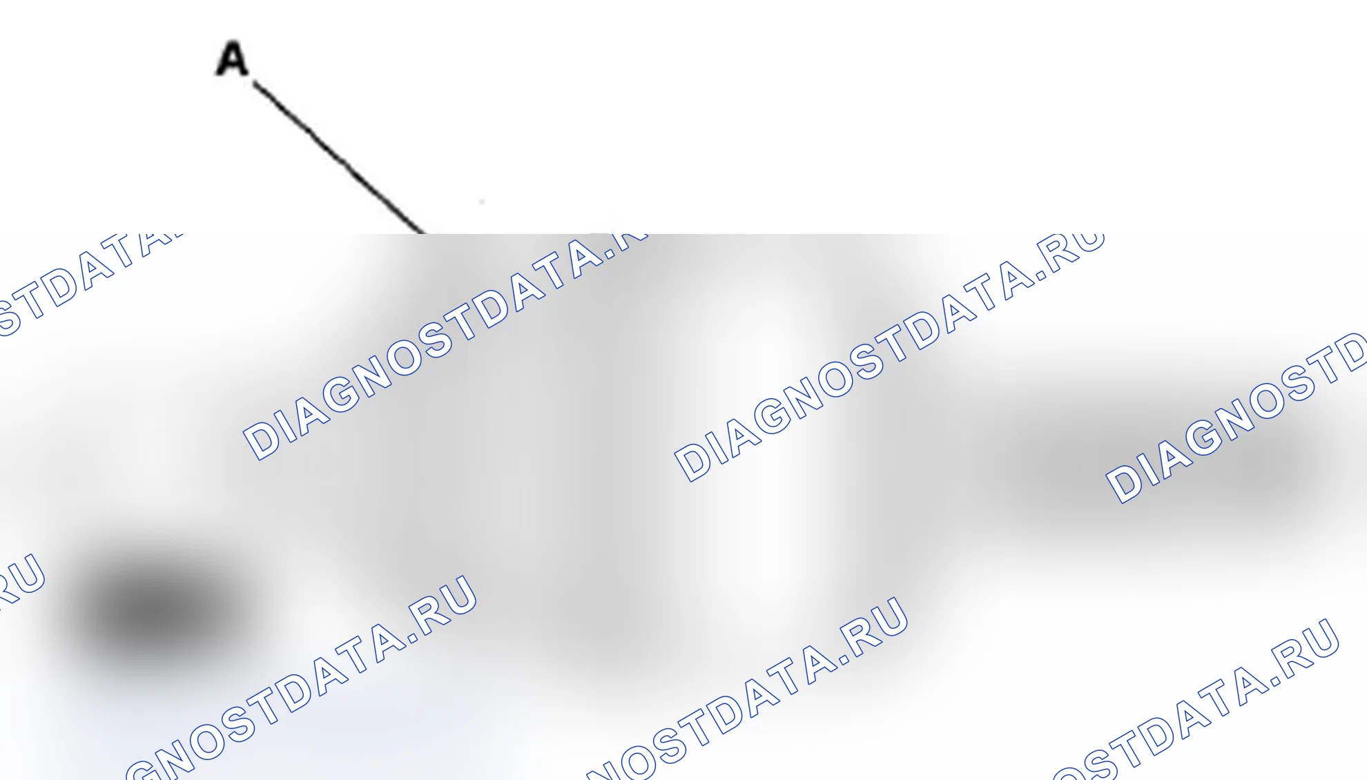 Рис. 20. Acura RL II рестайлинг