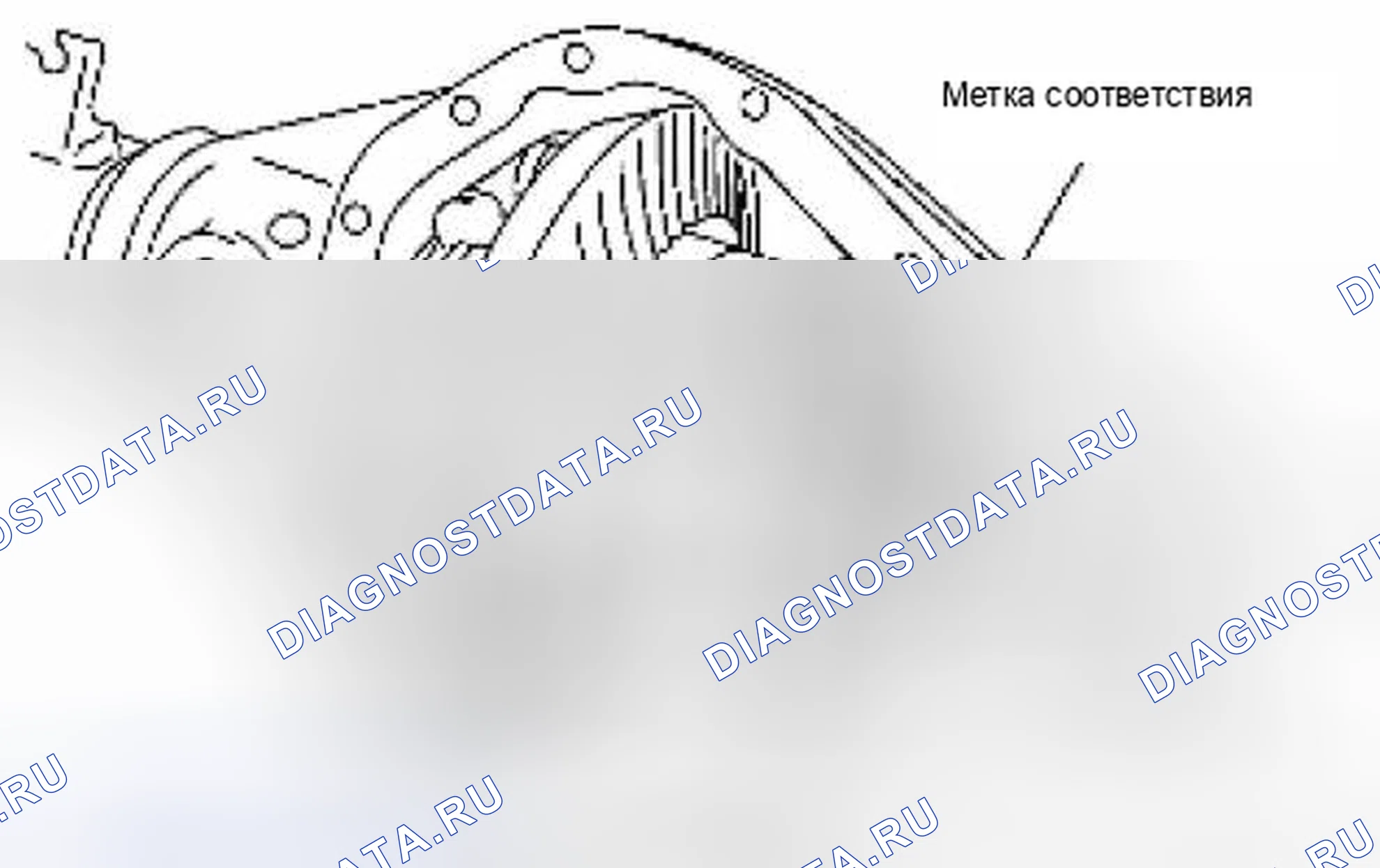 Рис. 381. Suzuki Equator I