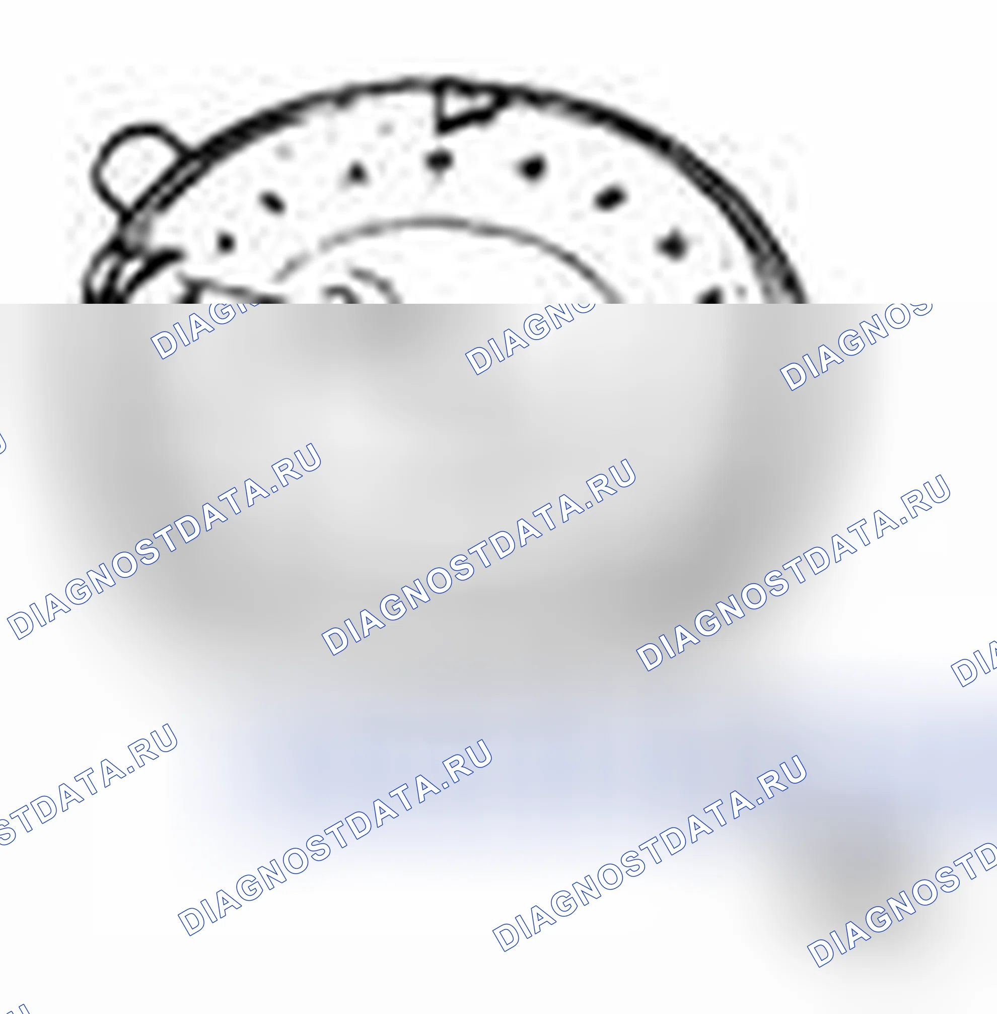 Рис. 162: Специальные инструменты (задние тормоза). Suzuki SX4 I рестайлинг