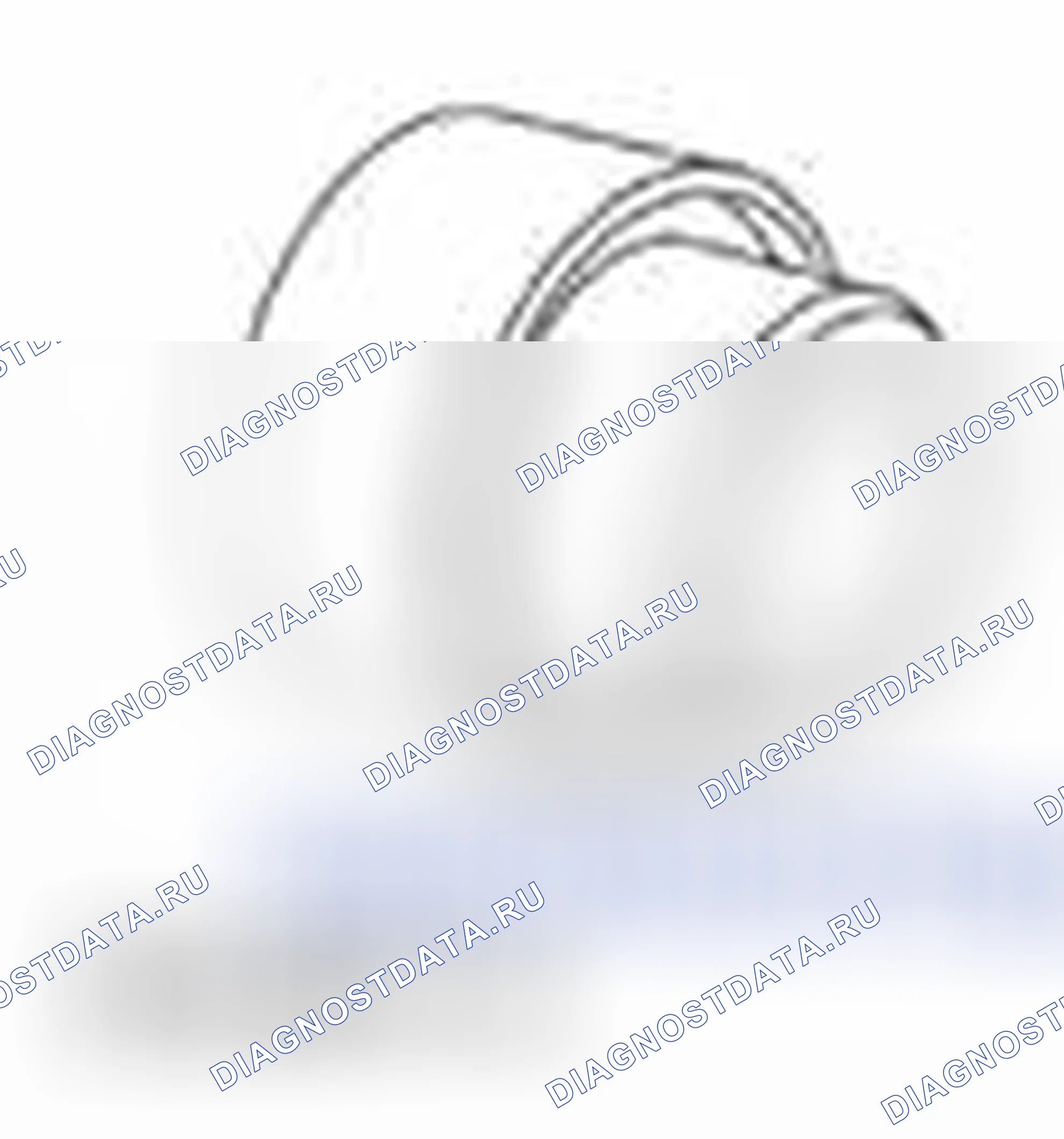 Рис. 838. Ford Pickup F250 Super Duty II
