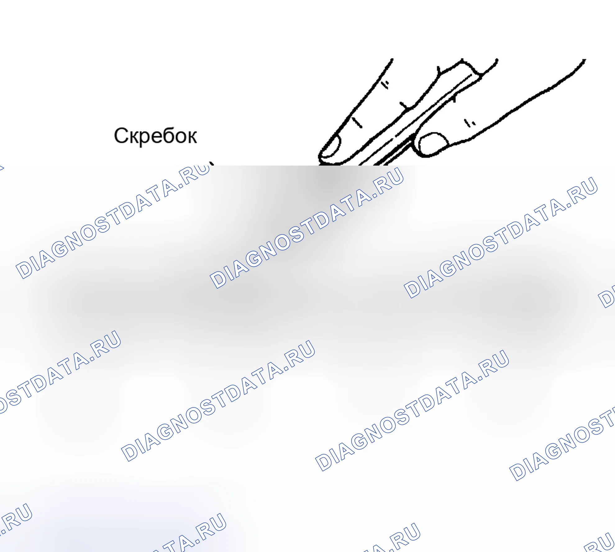 Рис. 50: ПРОЦЕДУРА УСТАНОВКИ ЖИДКОСТНОЙ ПРОКЛАДКИ. Honda Odyssey (North America) I