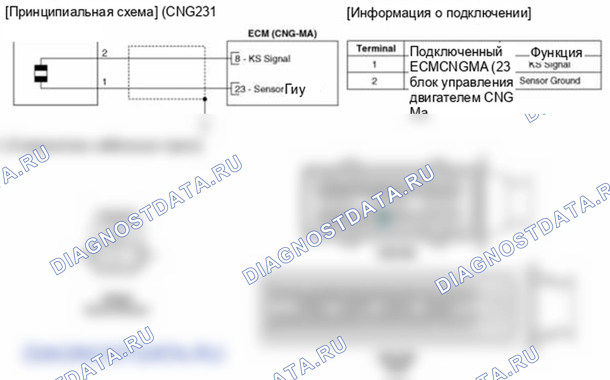 Рис. 13: (М / Т). Hyundai Elantra V
