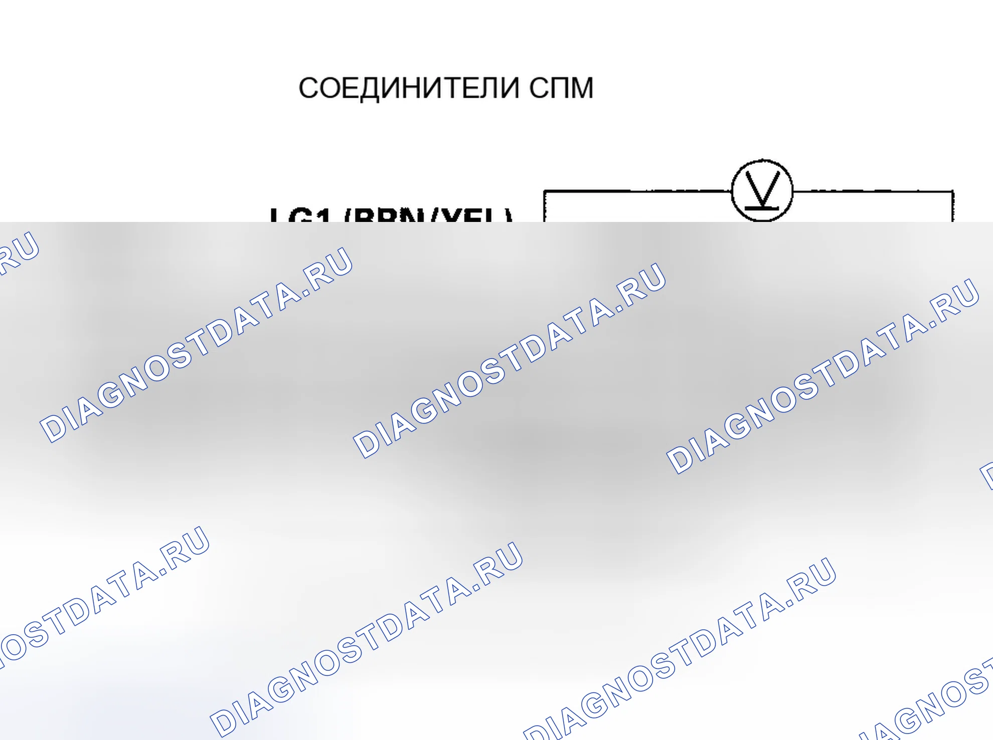 Рис. 562. Honda Element YH2