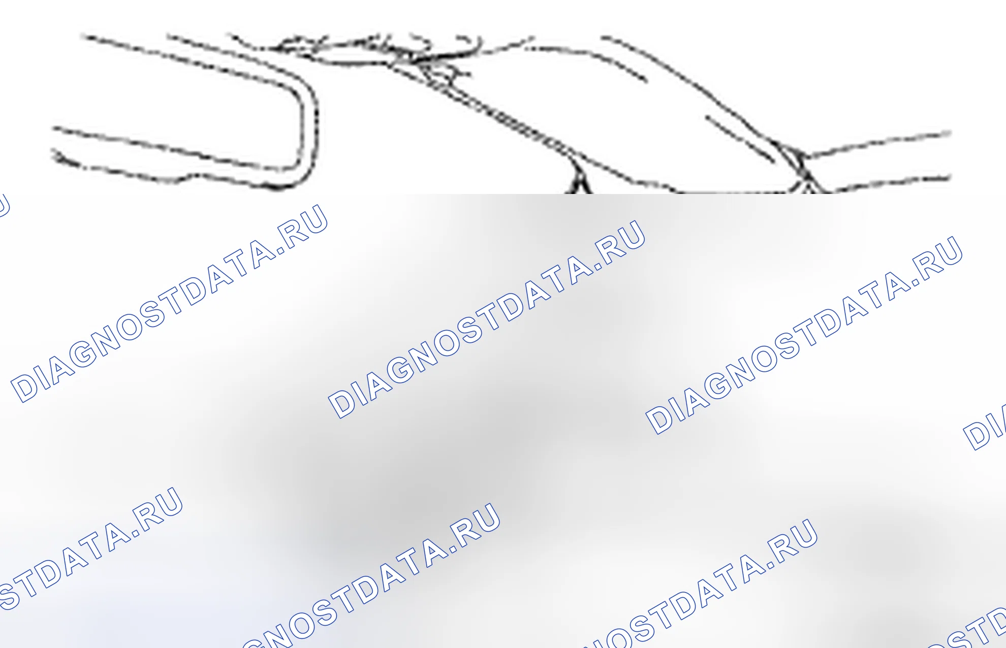 Рис. 316. Honda CR-V VI