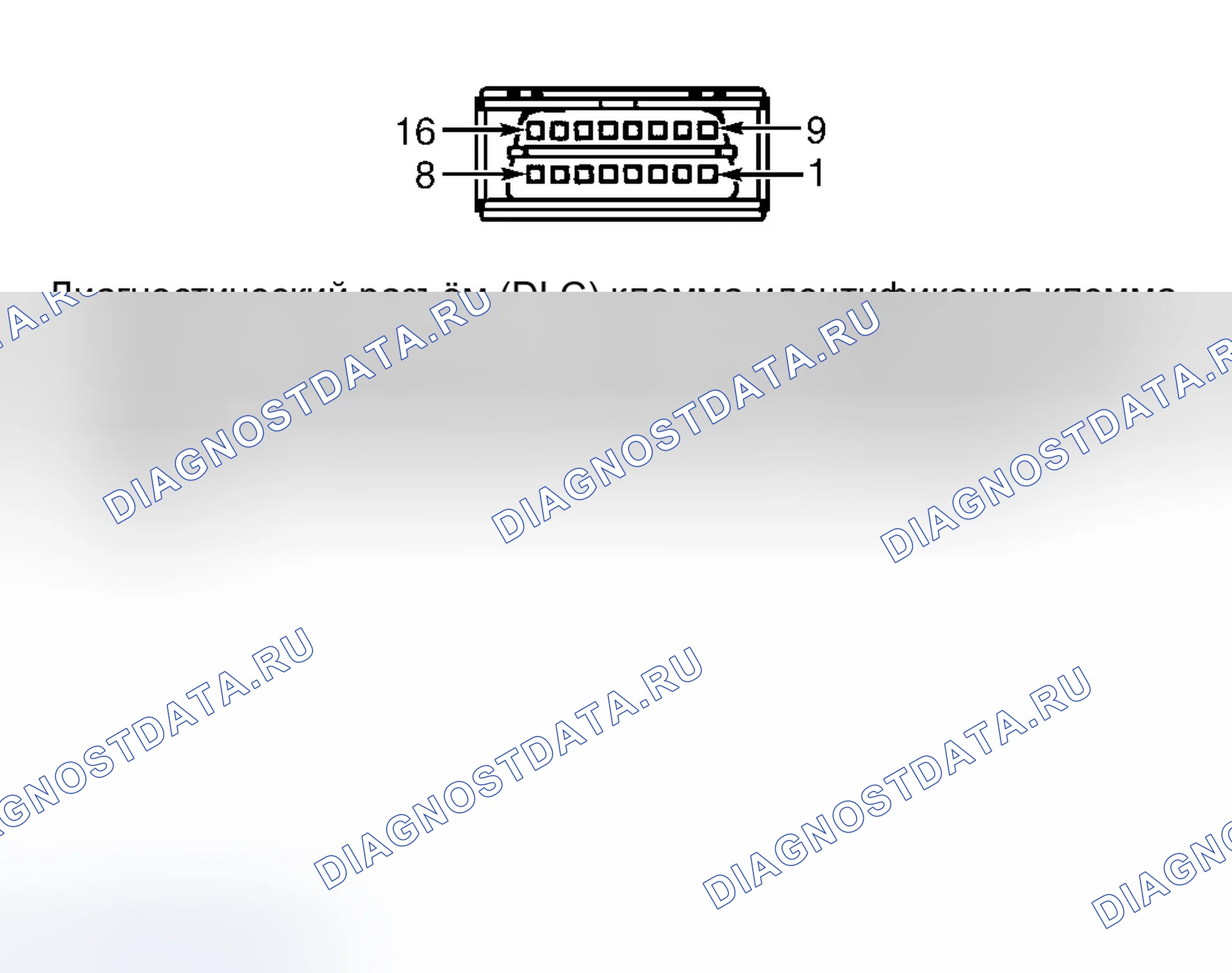 Рис. 85: ВИД С ТОРЦА РАЗЪЕМА КАНАЛА ПЕРЕДАЧИ ДАННЫХ. Dodge Cab & Chassis R2500 