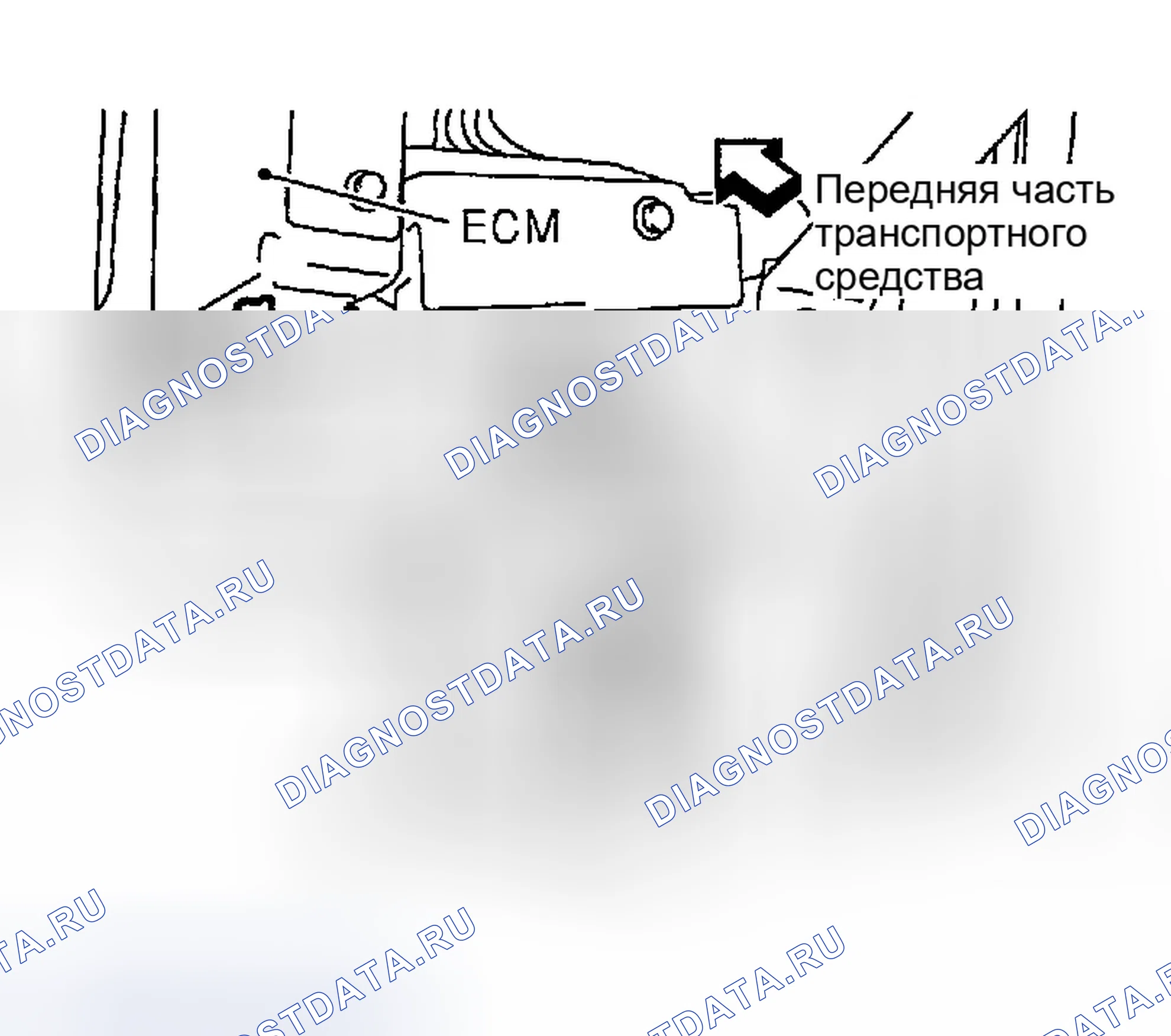 Рис. 1425: Сторона пассажирского помещения. Infiniti G35 III