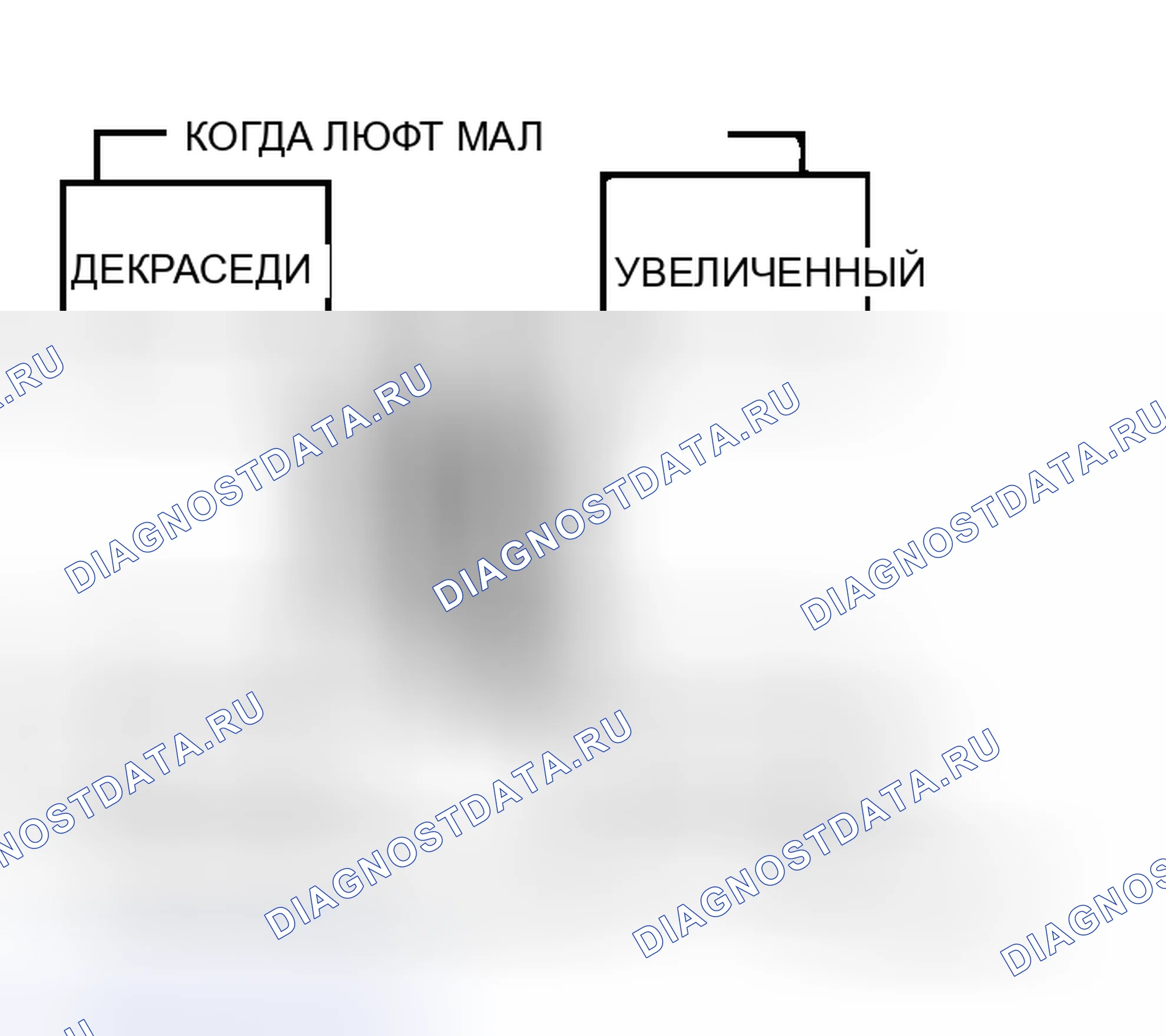Рис. 192. Honda Grace I