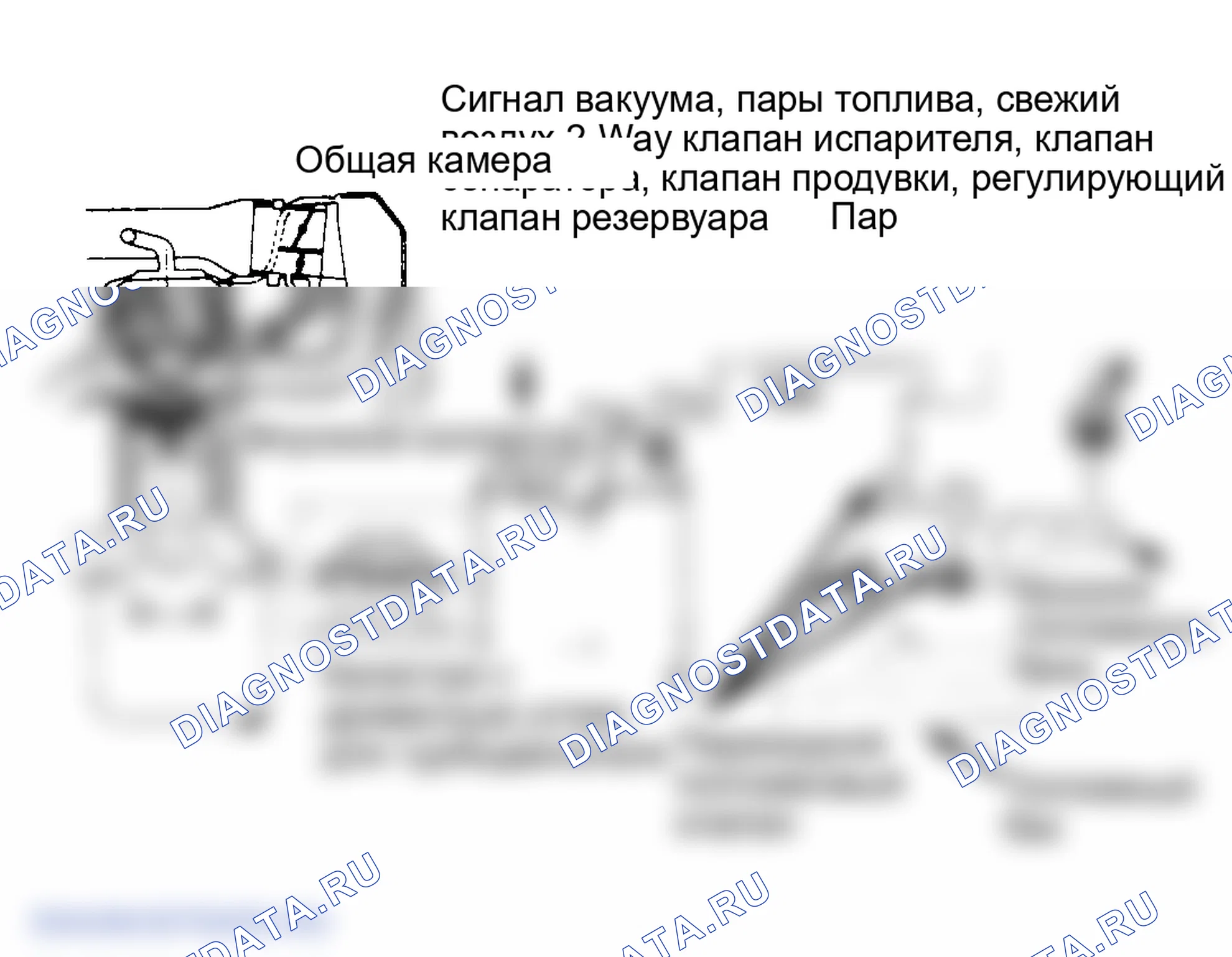 Рис. 1. Система испарения топлива (1.9L и 2,0 л турбо). Isuzu Impulse I