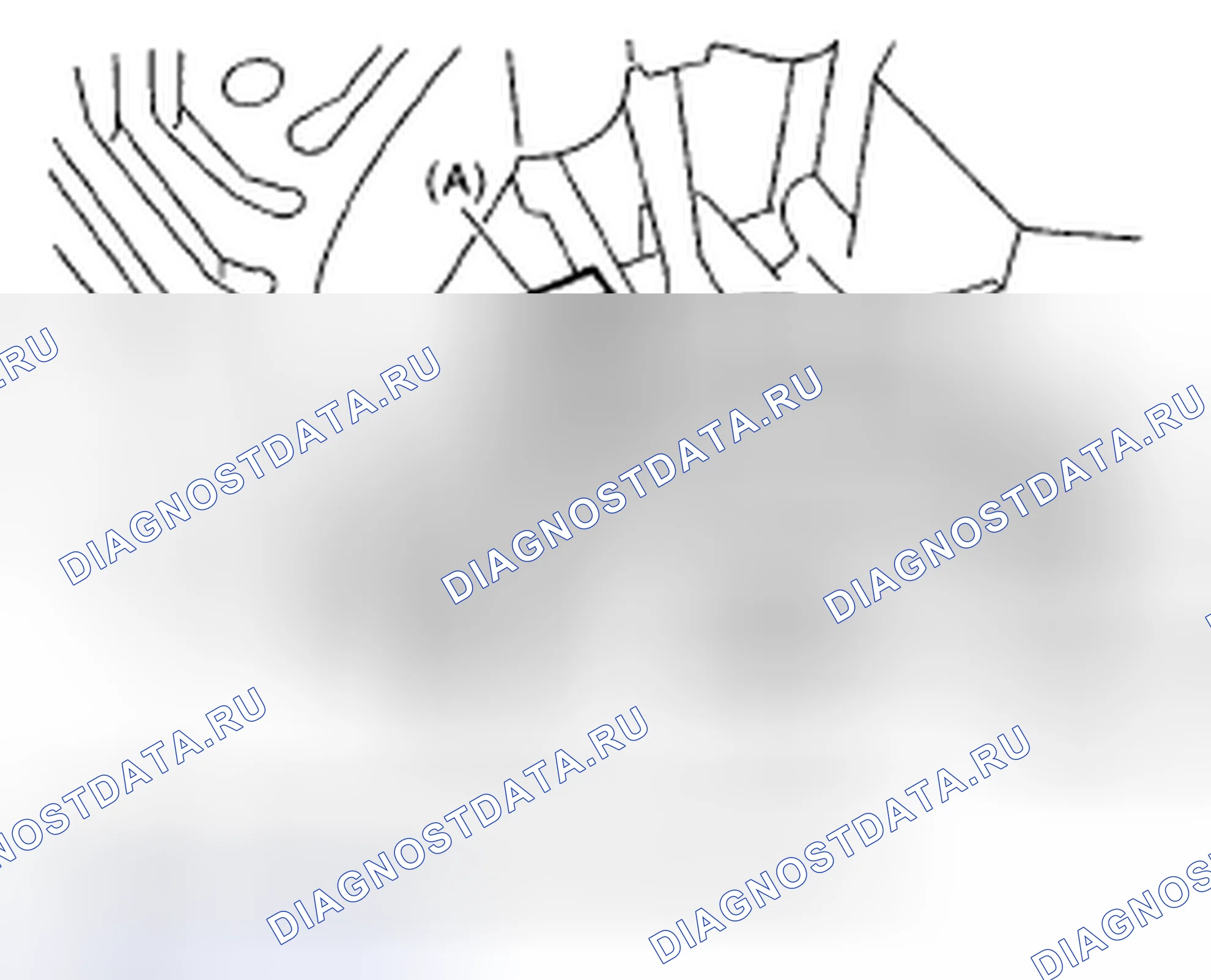 Рис. 226. Subaru Impreza GD/GC/GG рестайлинг 2