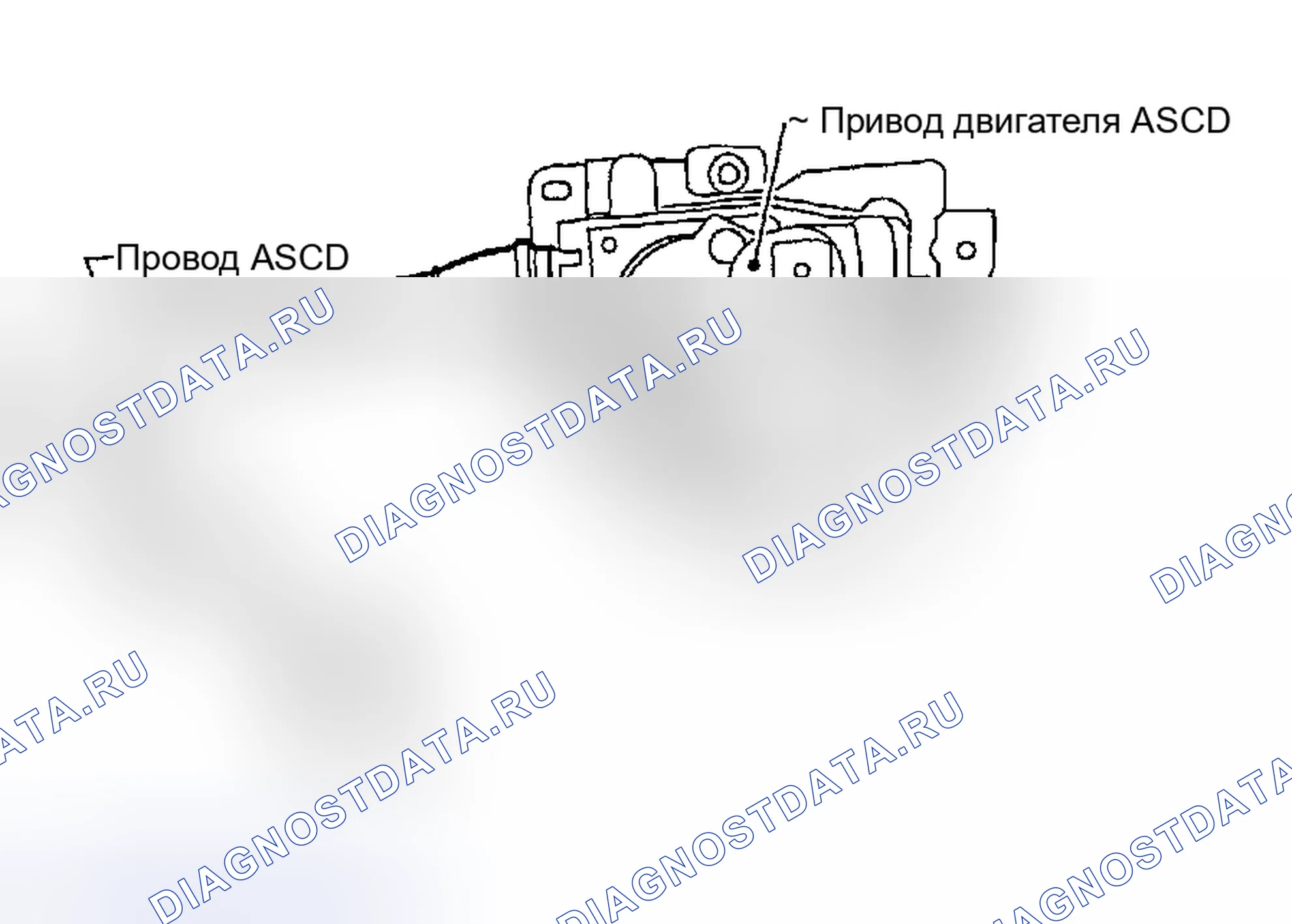 Рис. 20: 1. Проверка провода ASCD. Honda Odyssey (North America) I