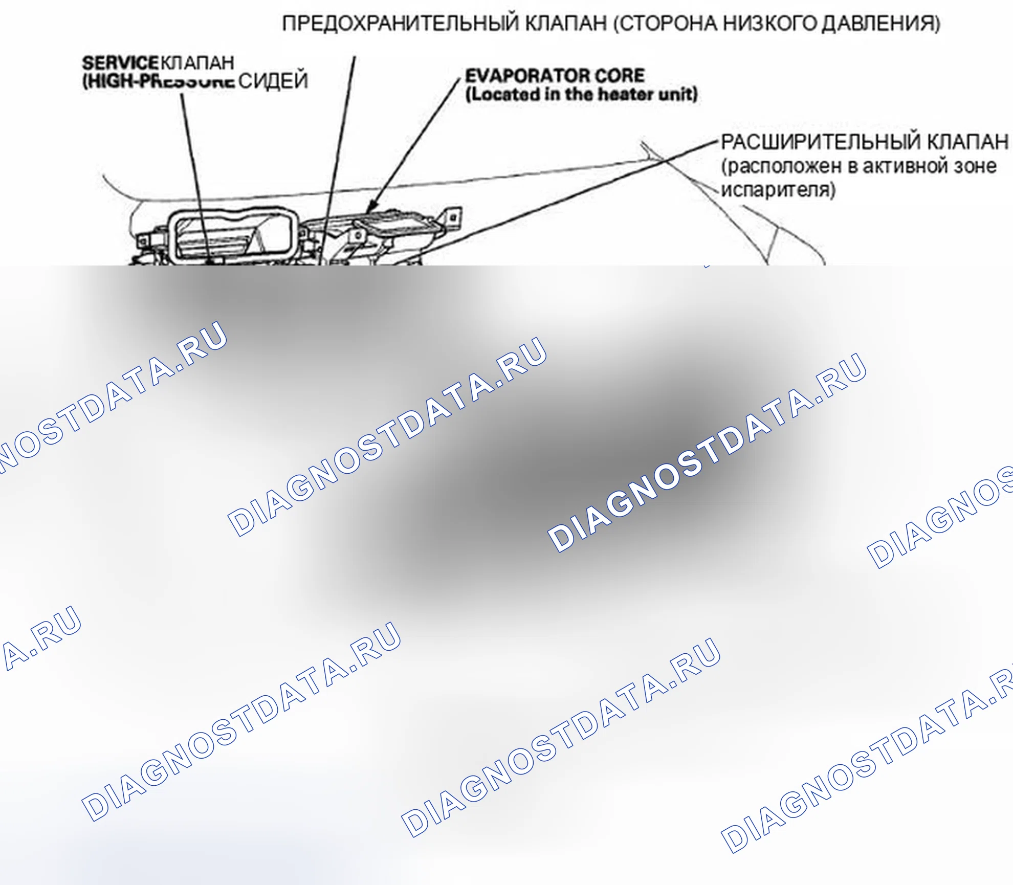 Рис. 1: Указатель расположения компонентов. Honda CR-V III