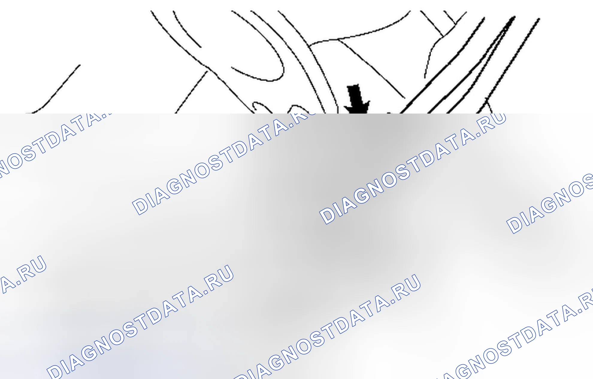 Рис. 831. Toyota Tacoma II рестайлинг