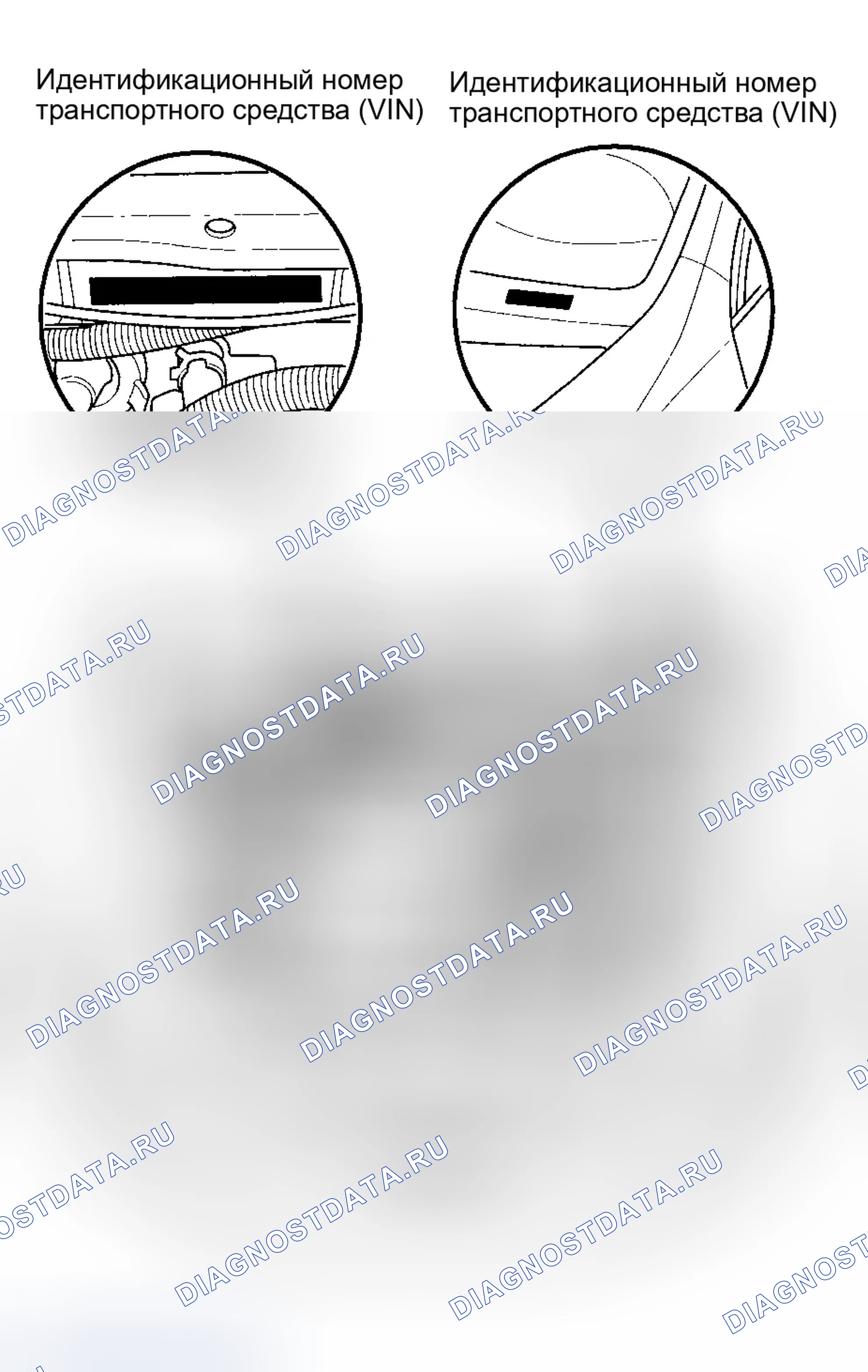 Рис. 102: Расположение идентификационных номеров. Honda Accord VII