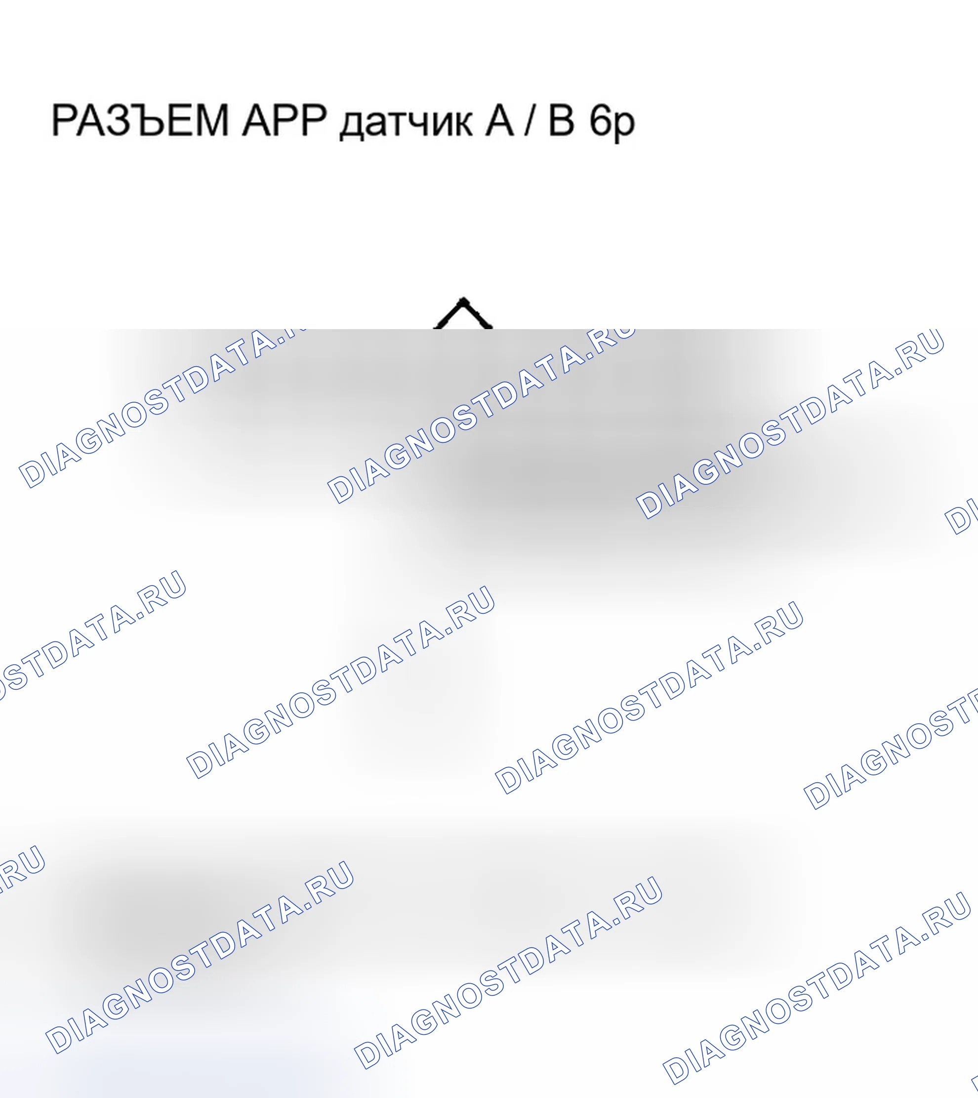 Рис. 248. Honda Accord VII рестайлинг