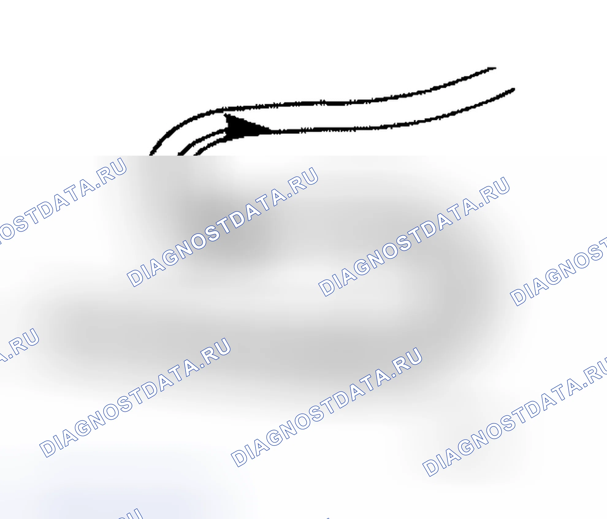 Рис. 109. Honda Mobilio Spike I
