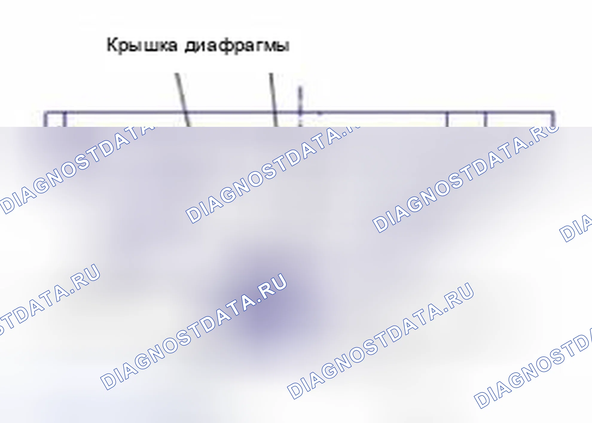 Рис. 176: Контроль. Kia Optima III