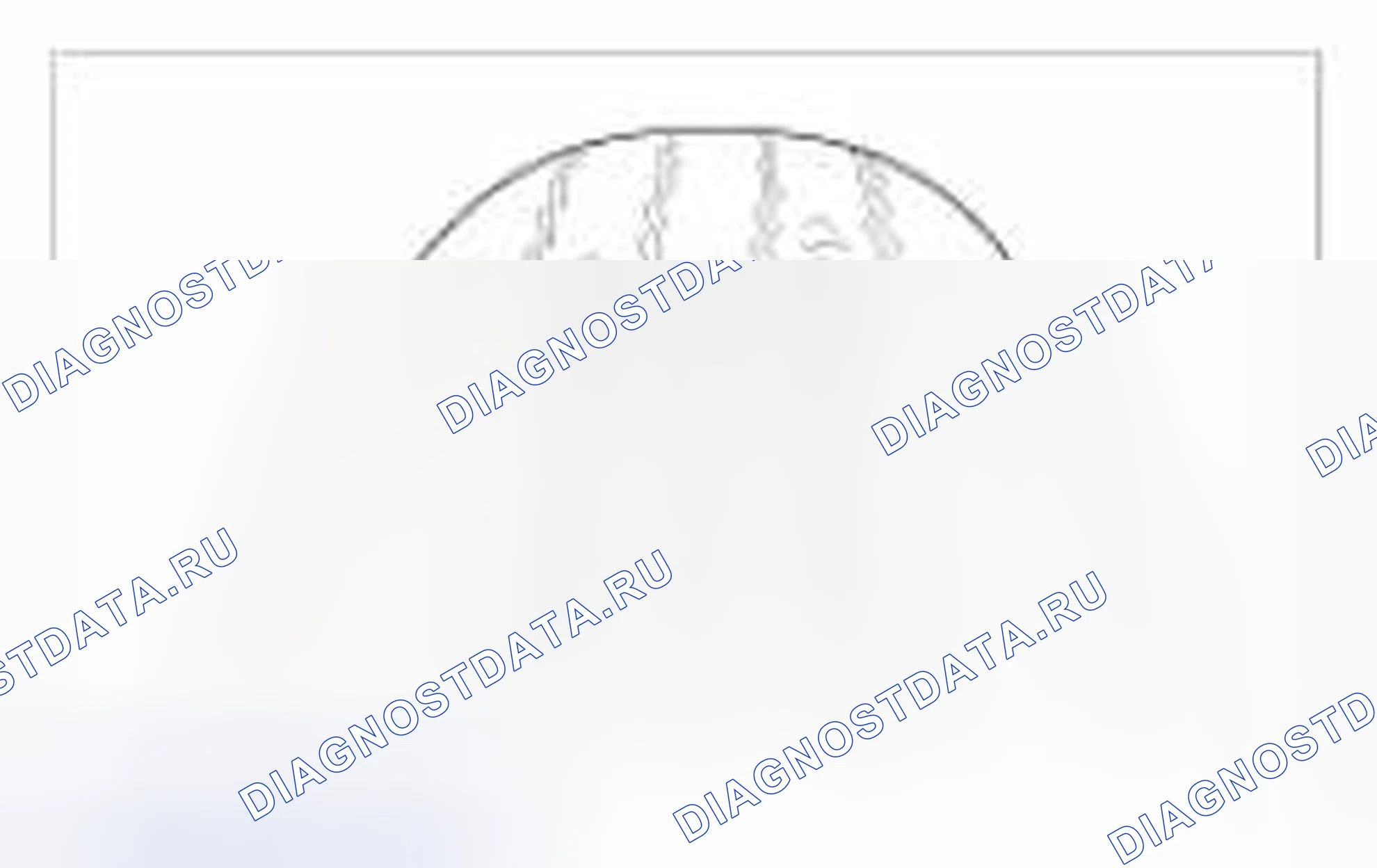 Рис. 1. BMW 6 серия F06/F13/F12
