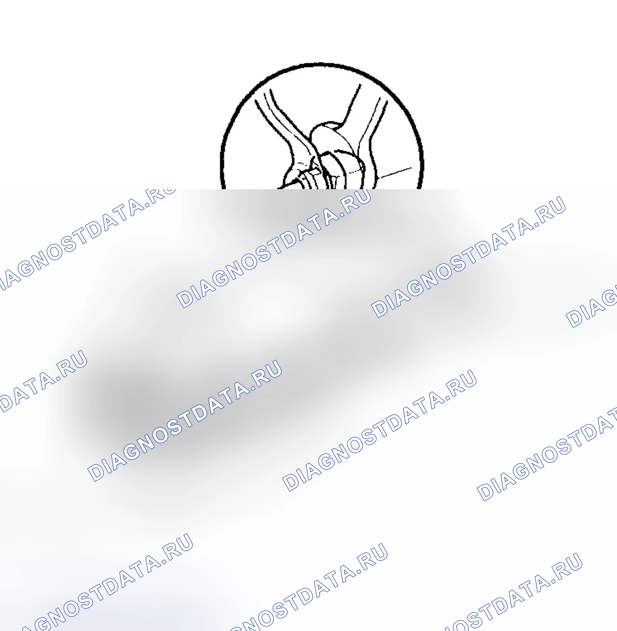 Рис. 27. Honda Odyssey II