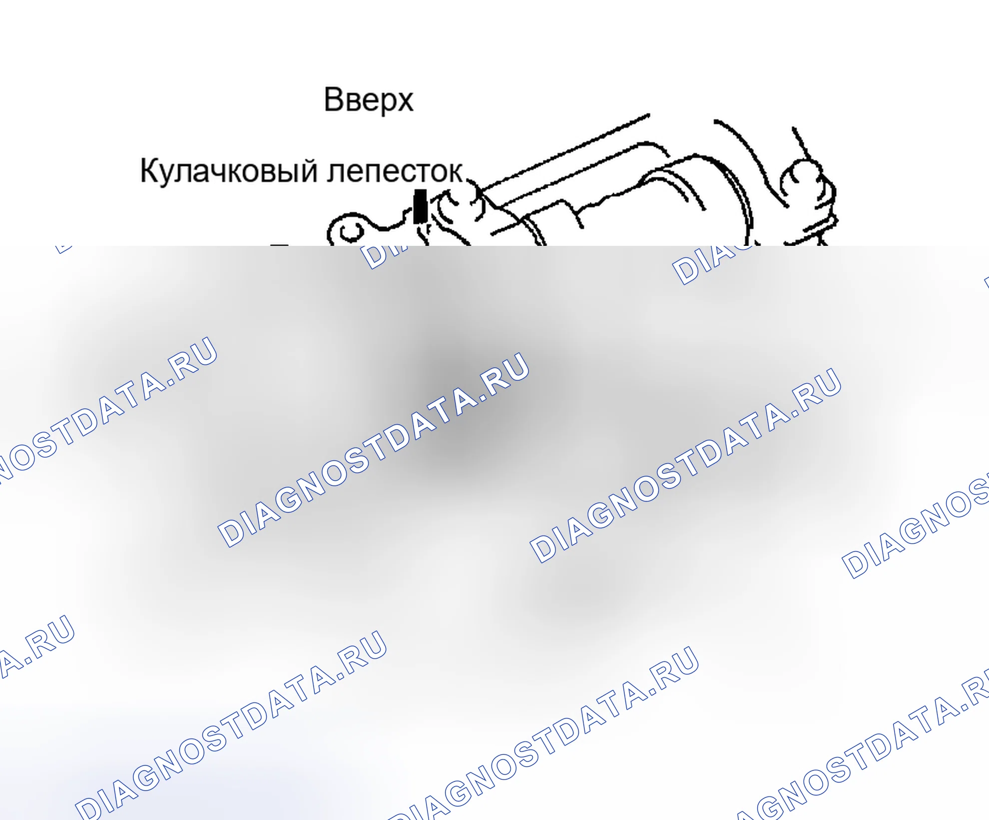 Рис. 9. Haval Menglong I