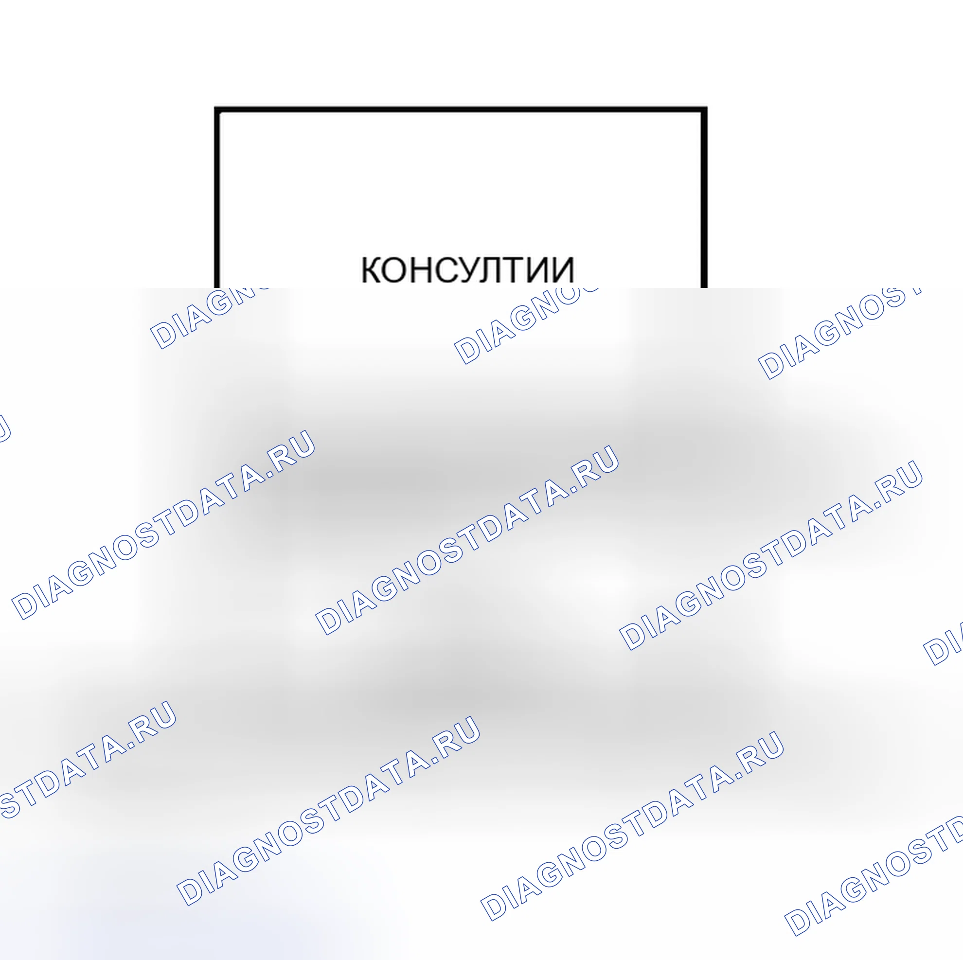 Рис. 15. Nissan Murano Z50