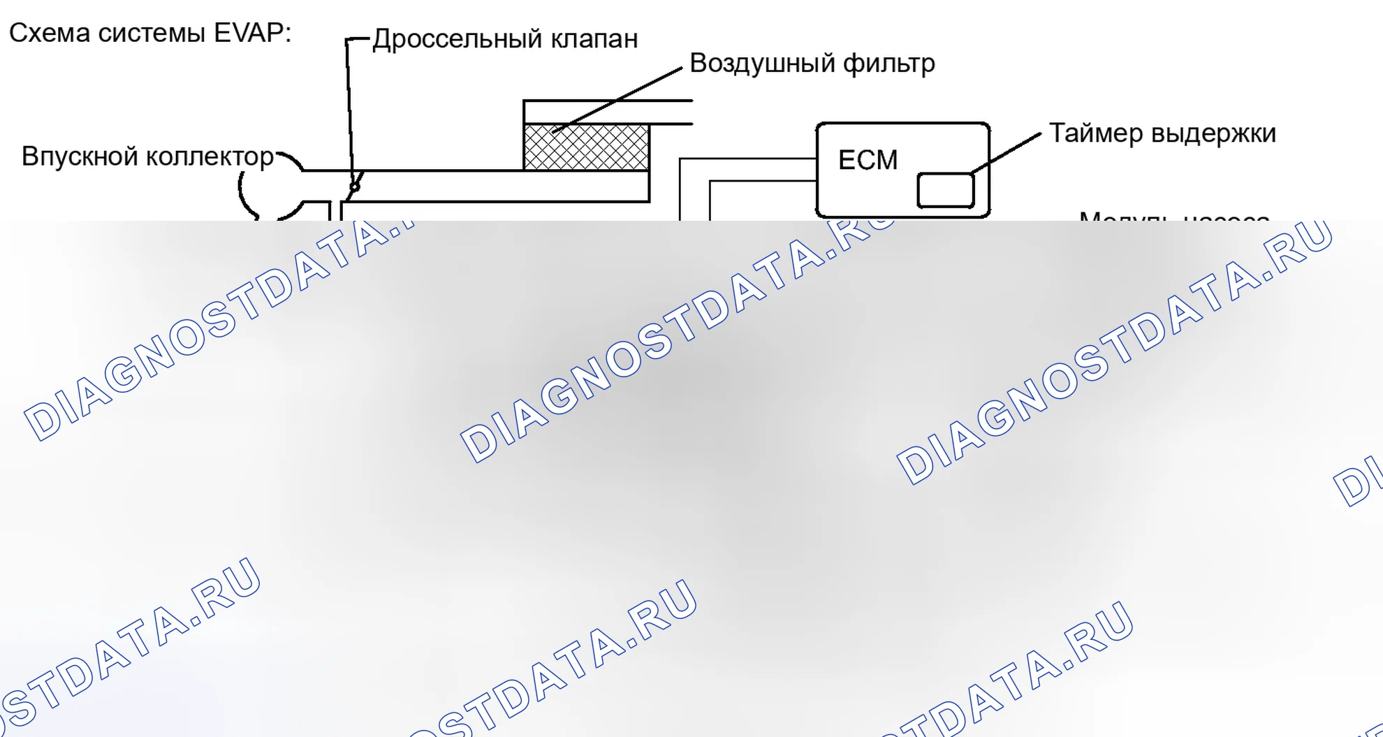 Рис. 652. Toyota Tundra II