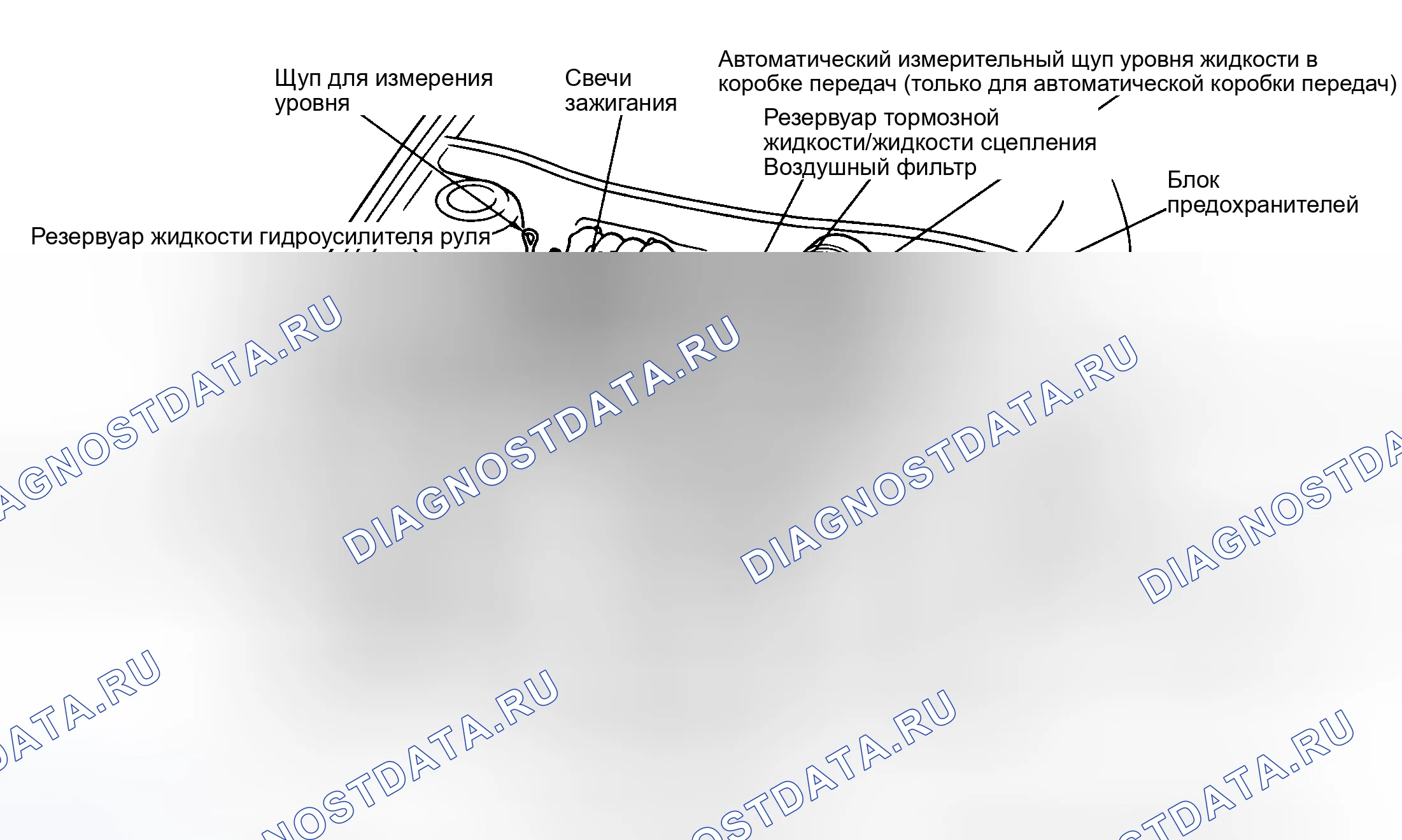 Рис. 13. Honda Civic VIII