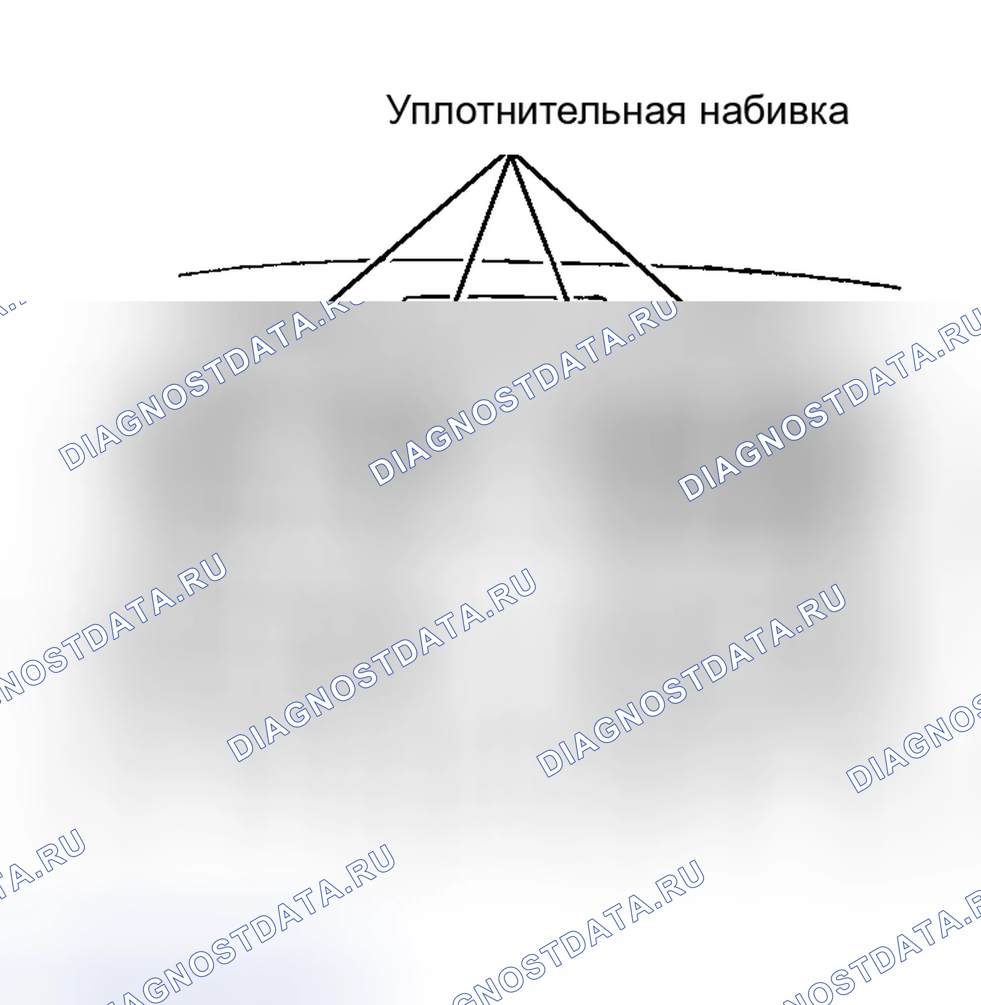 Рис. 5. Honda CR-V V