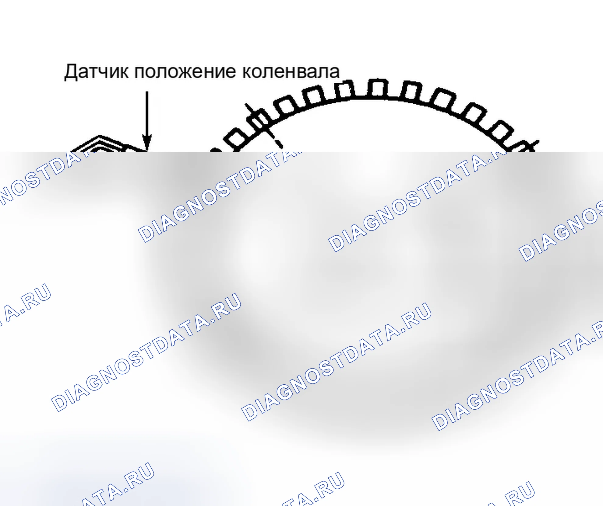 Рис. 124: Датчик Ckp и колесо коленчатого вала. Ford Club Wagon E150 