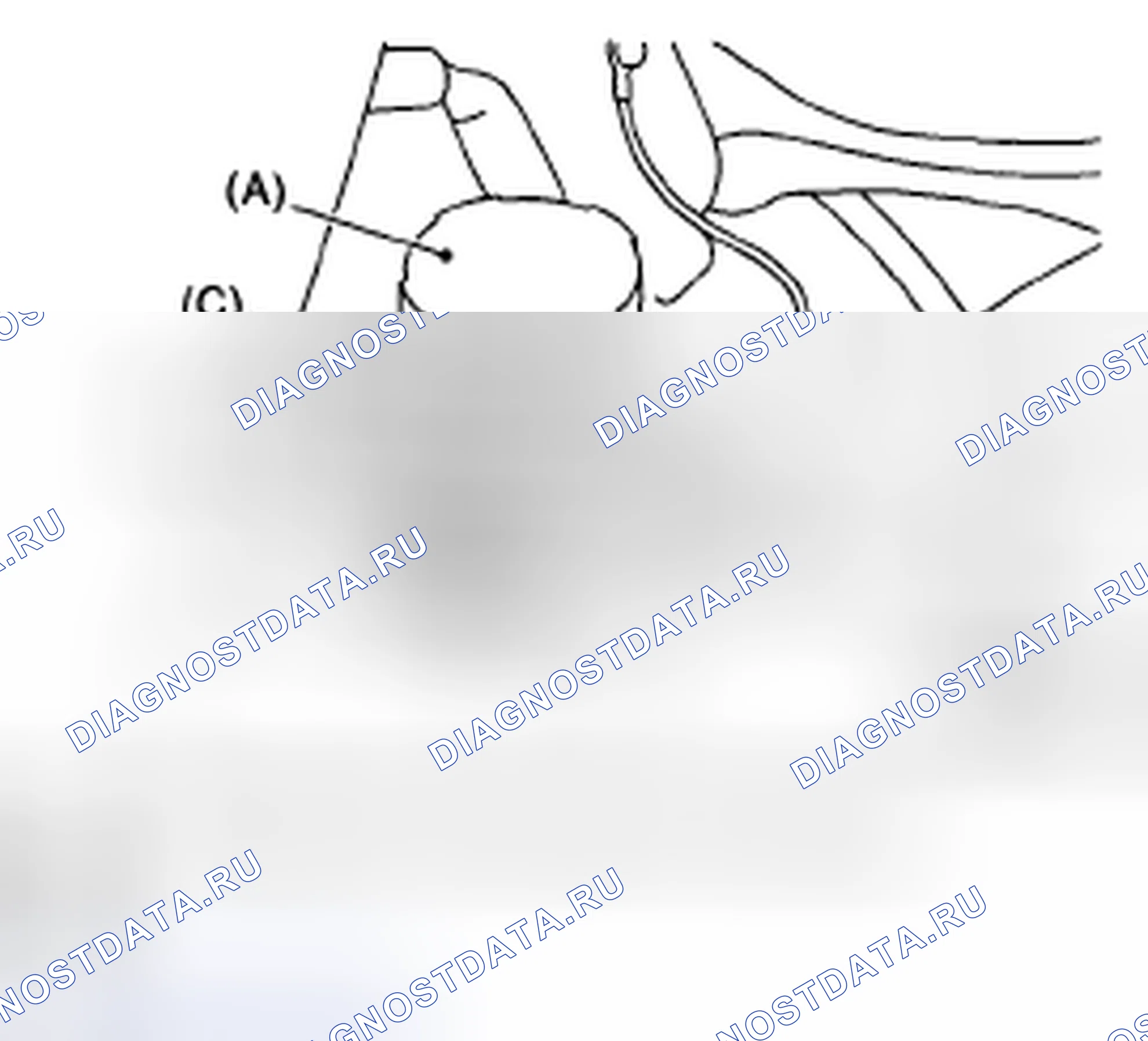 Рис. 16. Subaru Outback BP рестайлинг